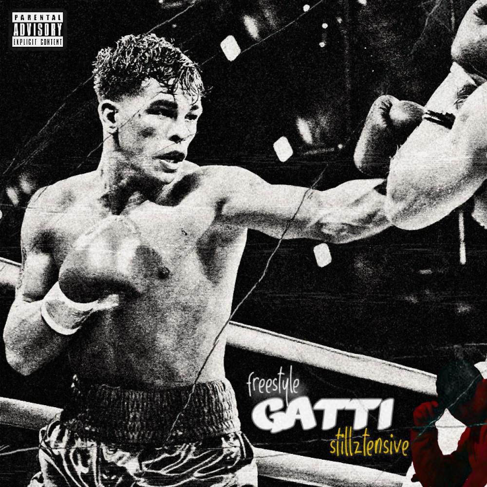 Постер альбома Gatti