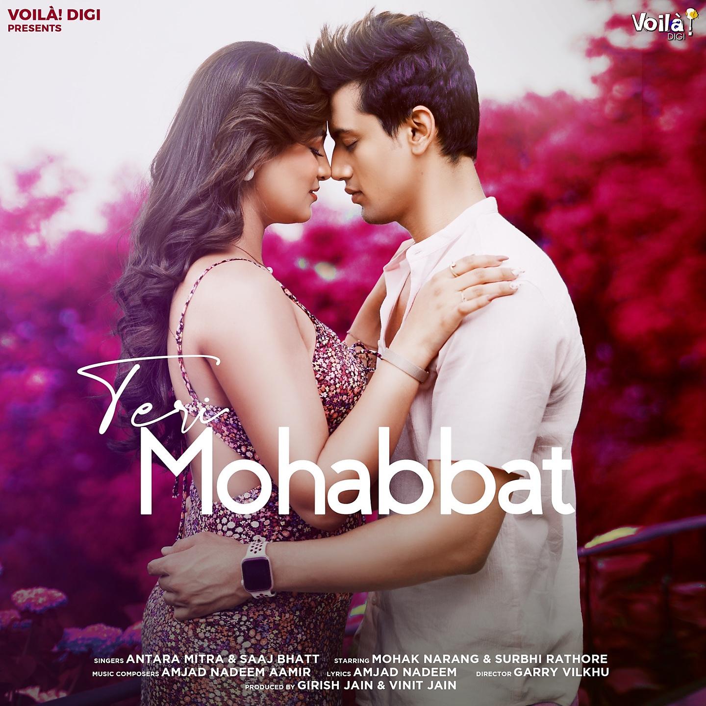 Постер альбома Teri Mohabbat