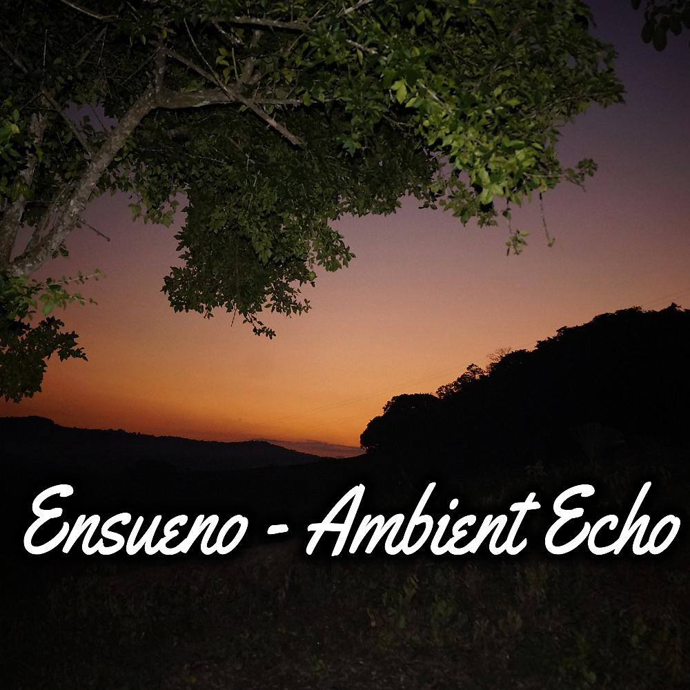 Постер альбома Ambient Echo