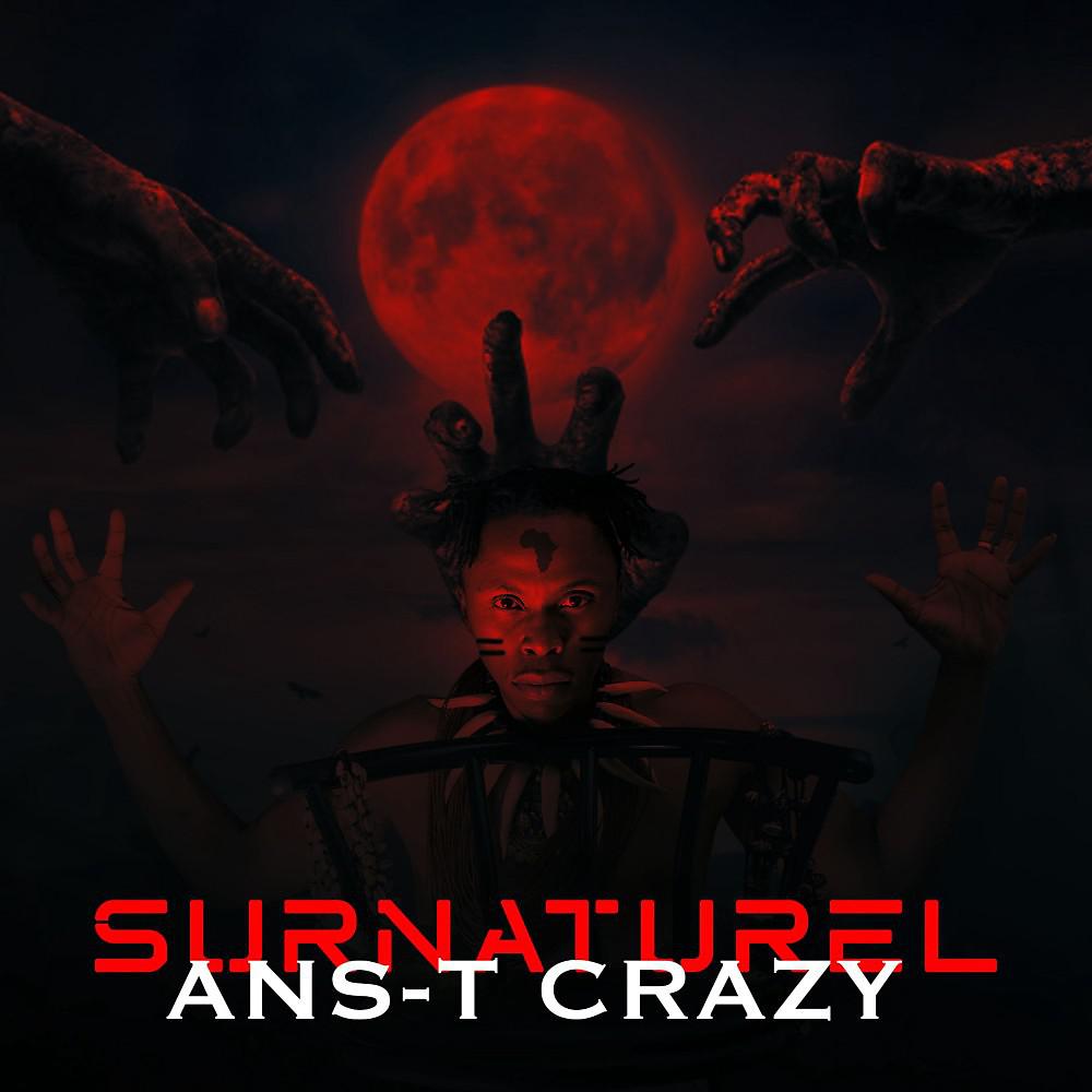 Постер альбома Surnaturel