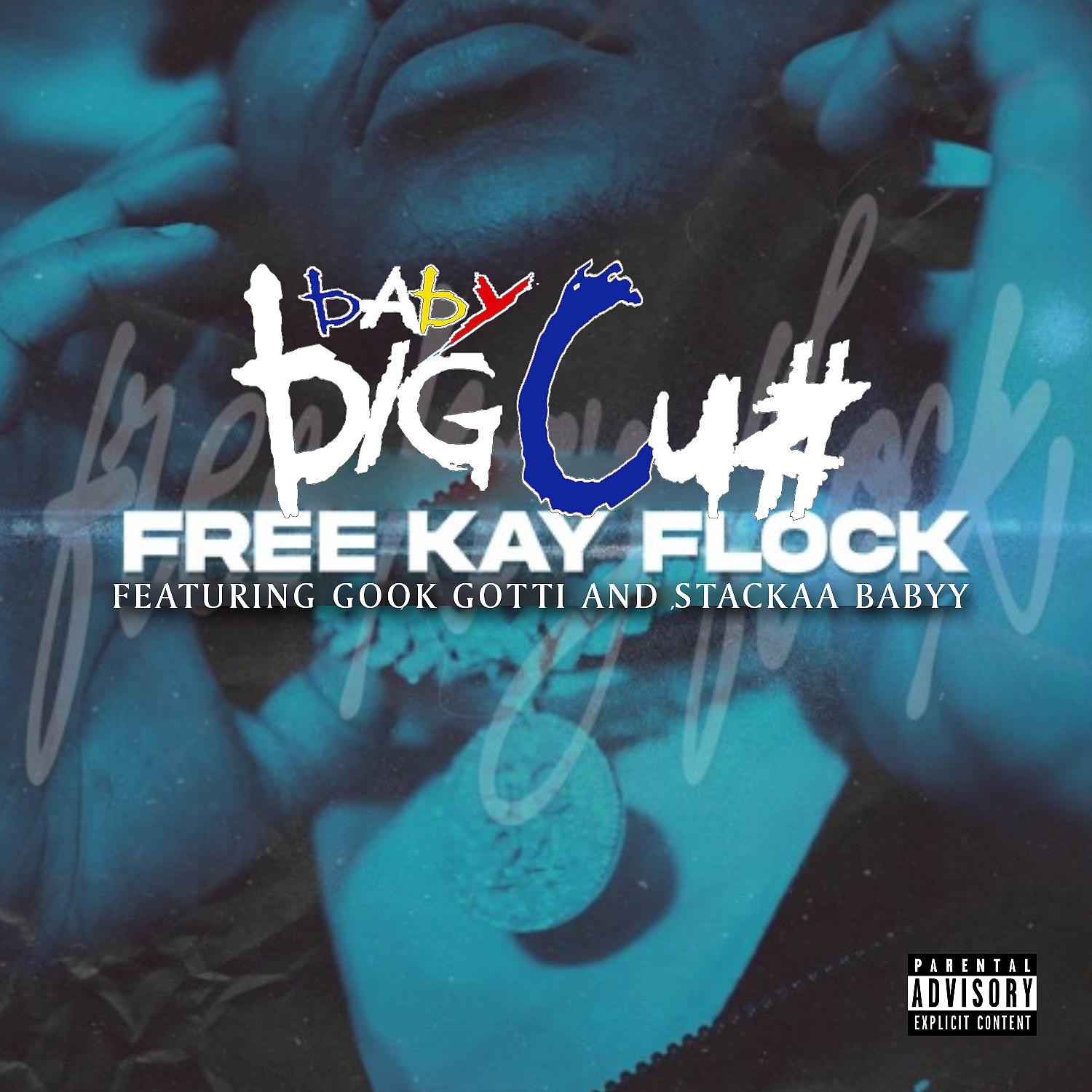 Постер альбома Free Kay Flocc (feat. Gook Gotti & Stackaa Babyy)