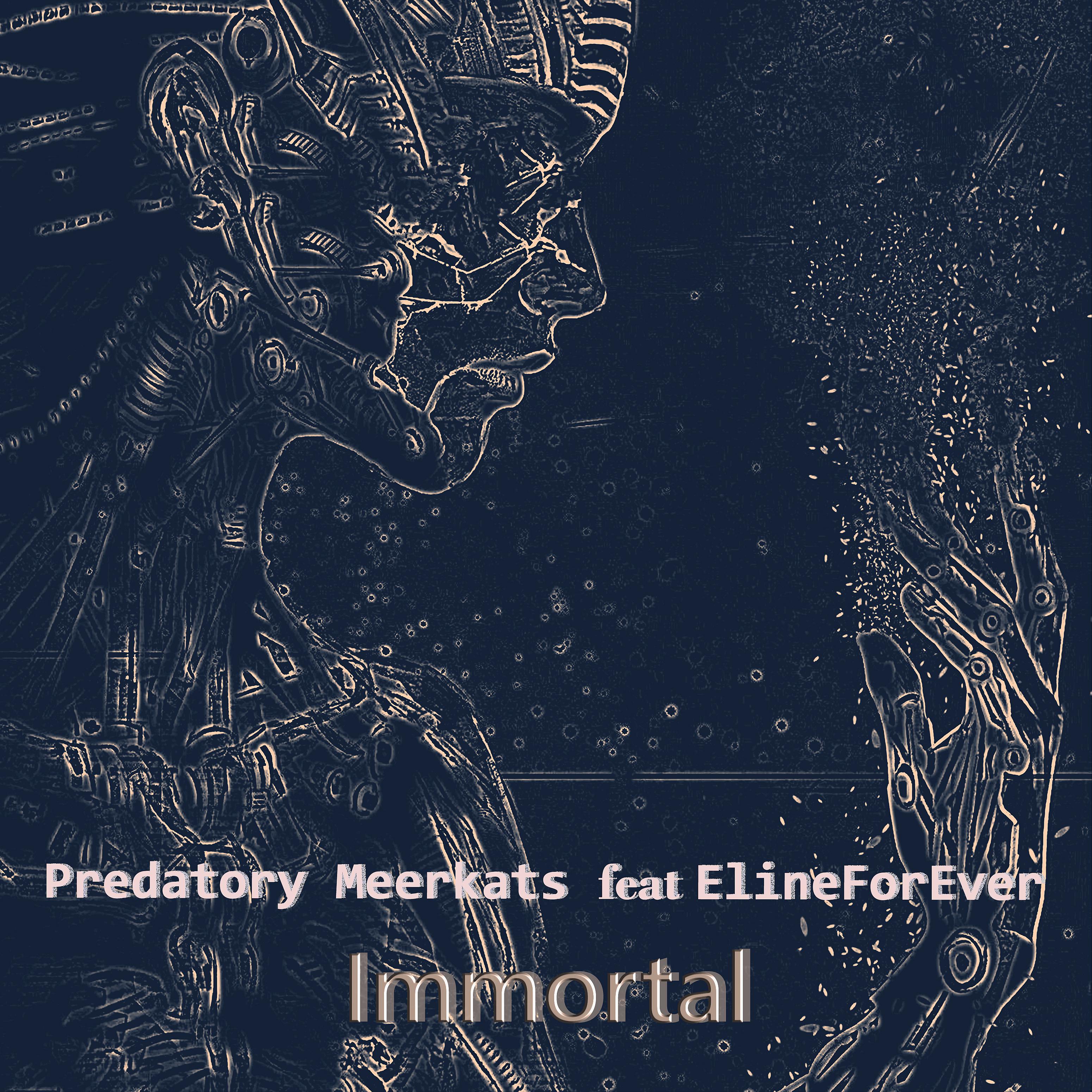 Постер альбома Immortal (feat. Elineforever)