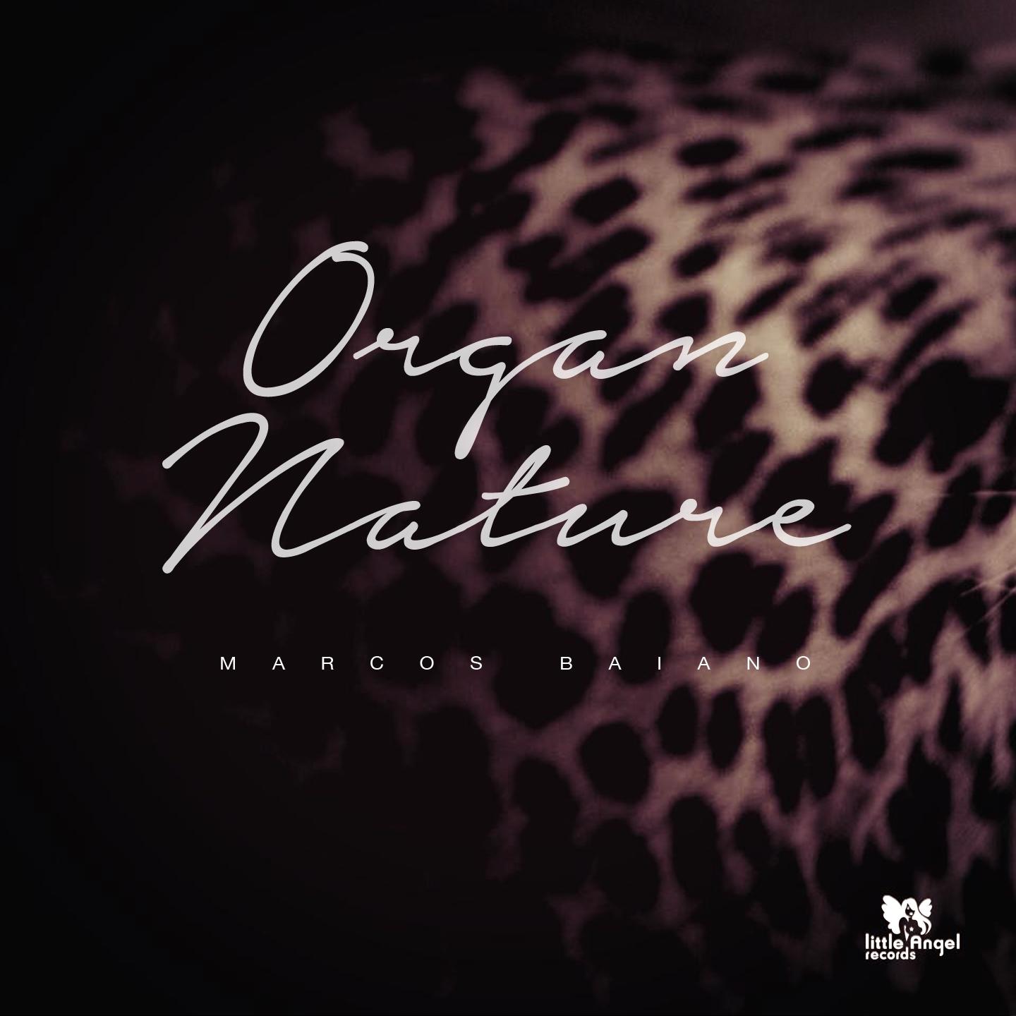 Постер альбома Organ Nature