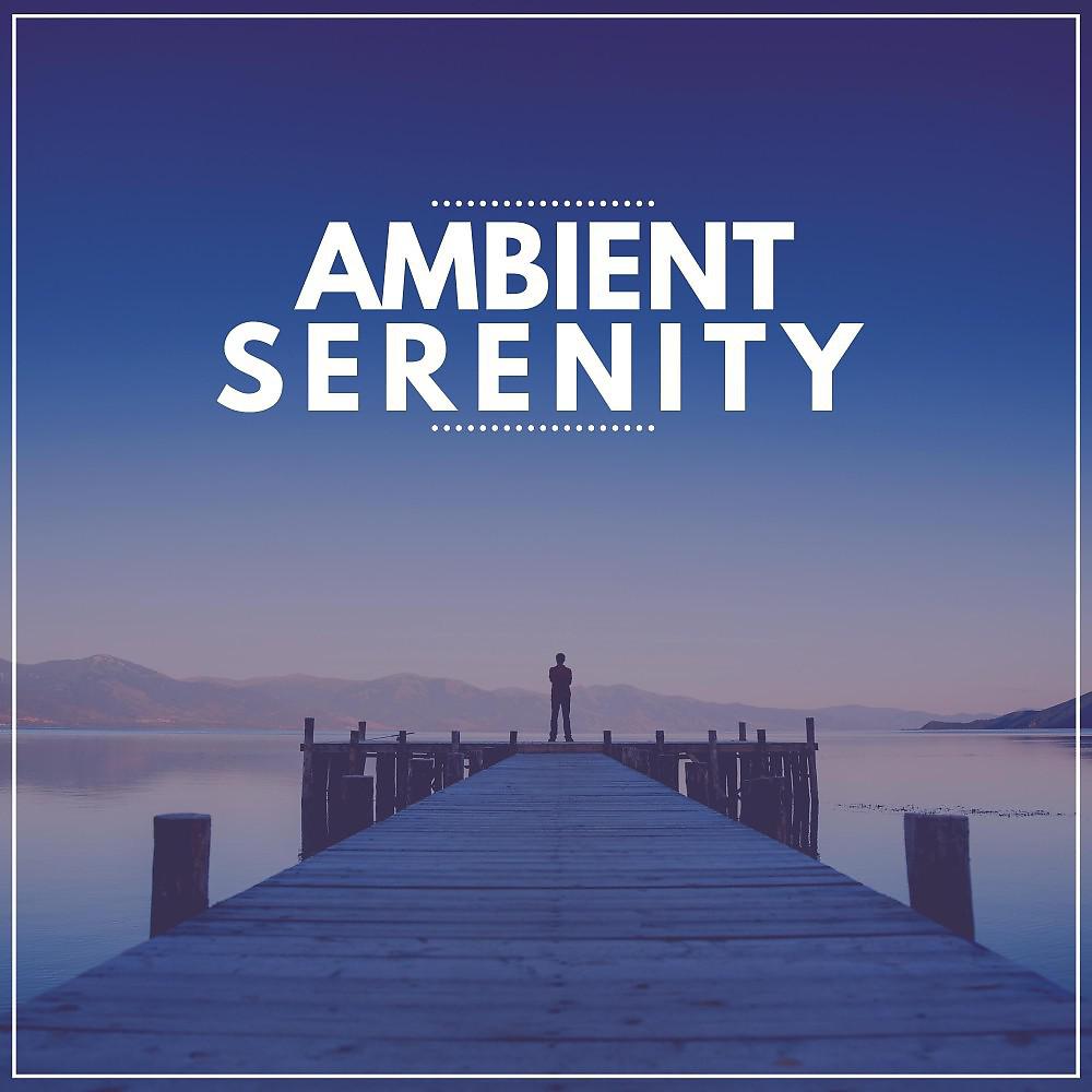 Постер альбома Ambient Serenity