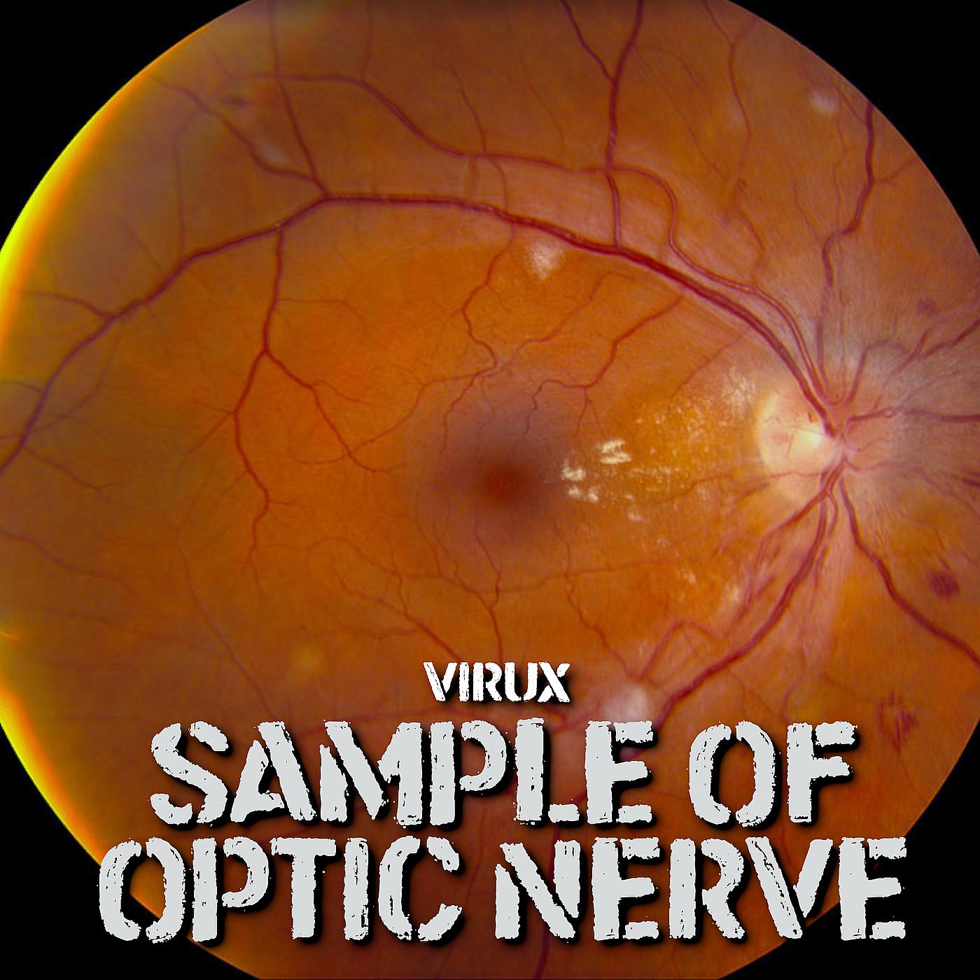 Постер альбома The sample of optic nerve