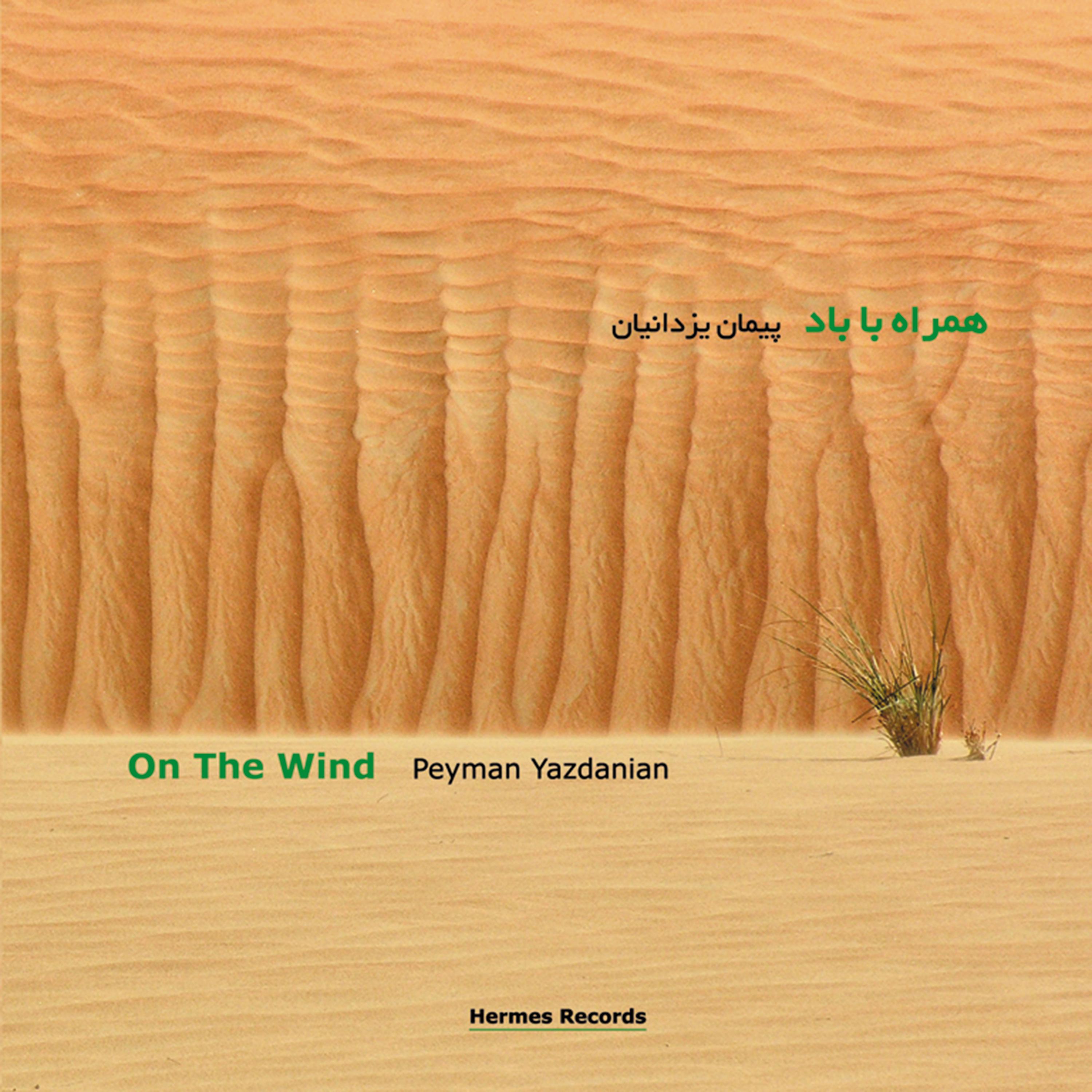 Постер альбома On the Wind