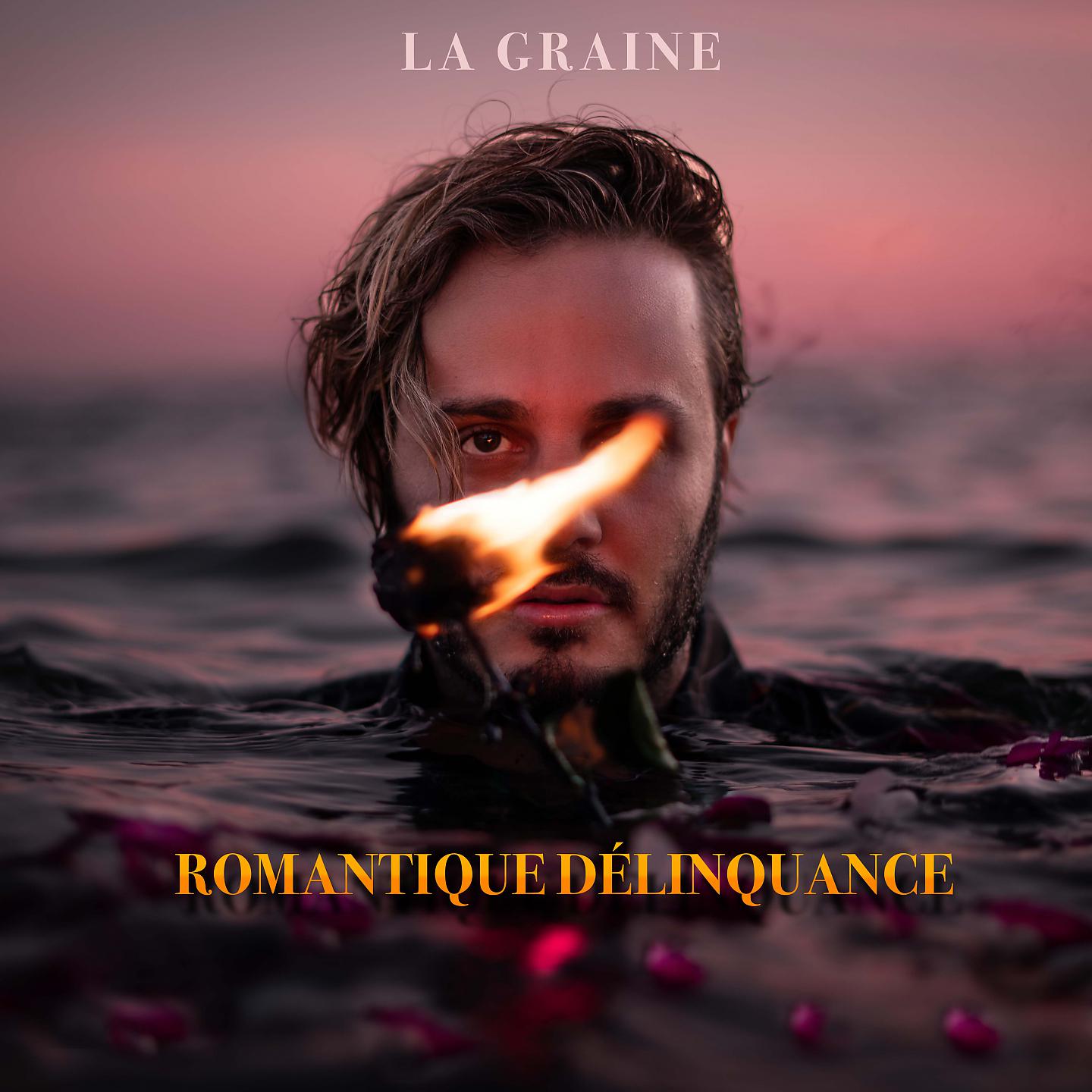 Постер альбома Romantique délinquance