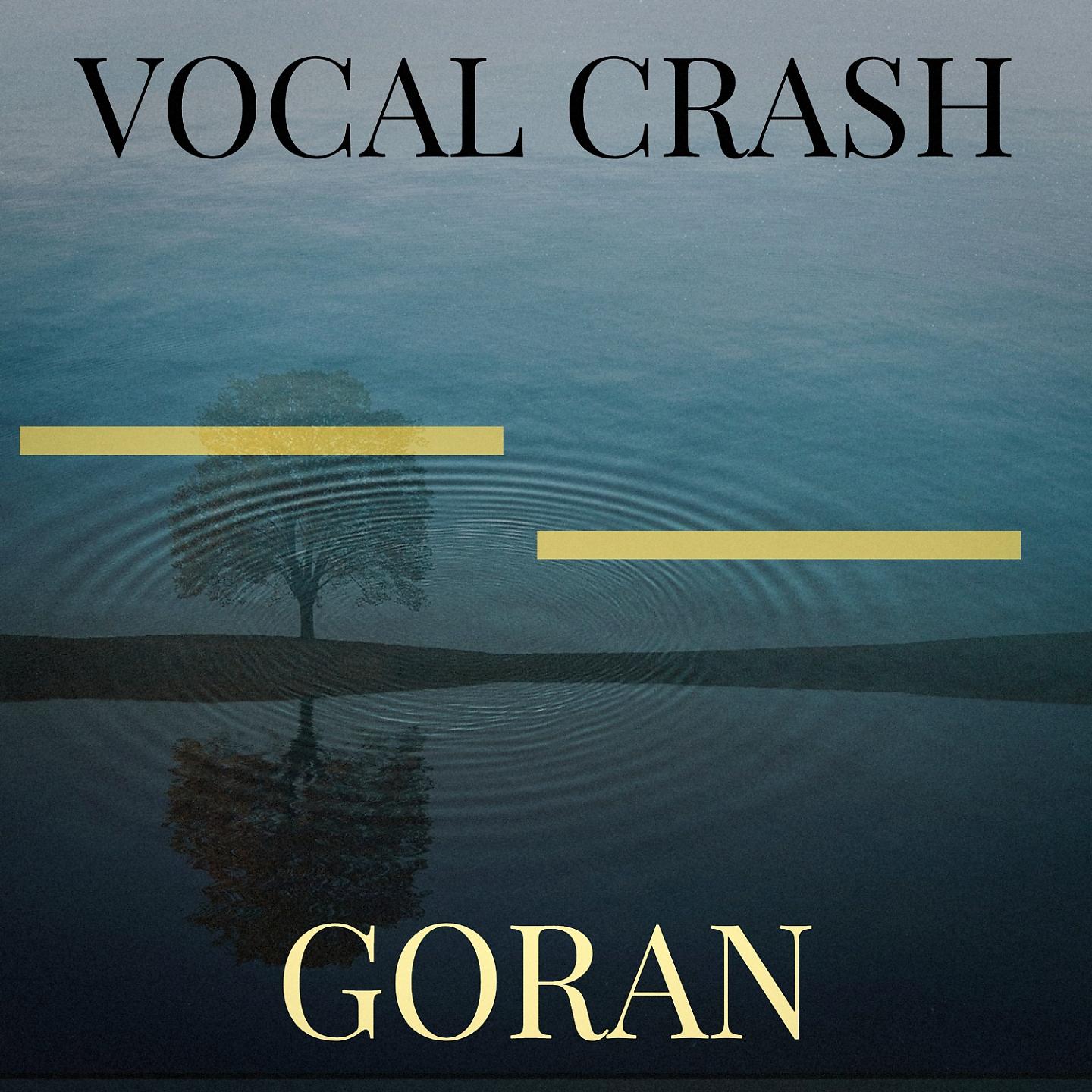 Постер альбома Vocal Crash