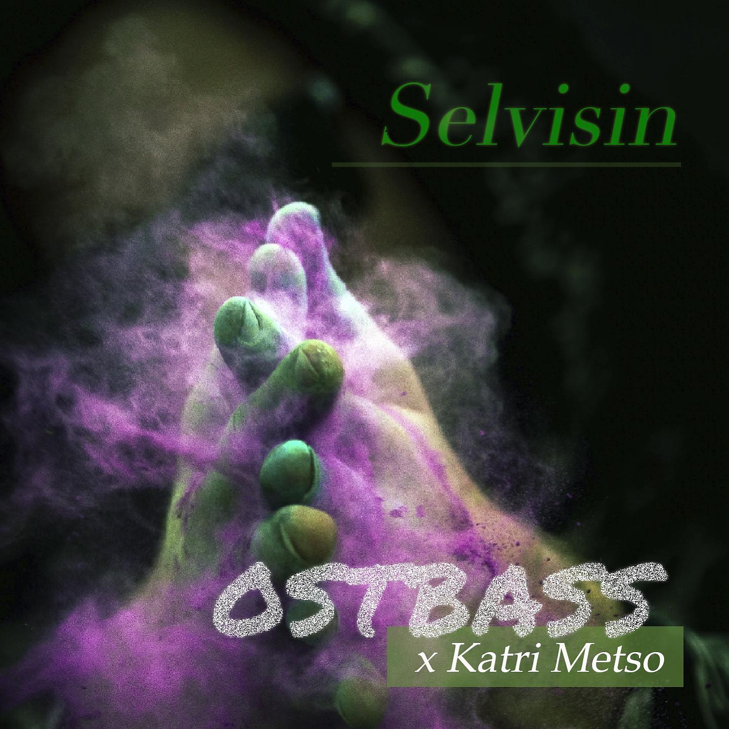 Постер альбома Selvisin