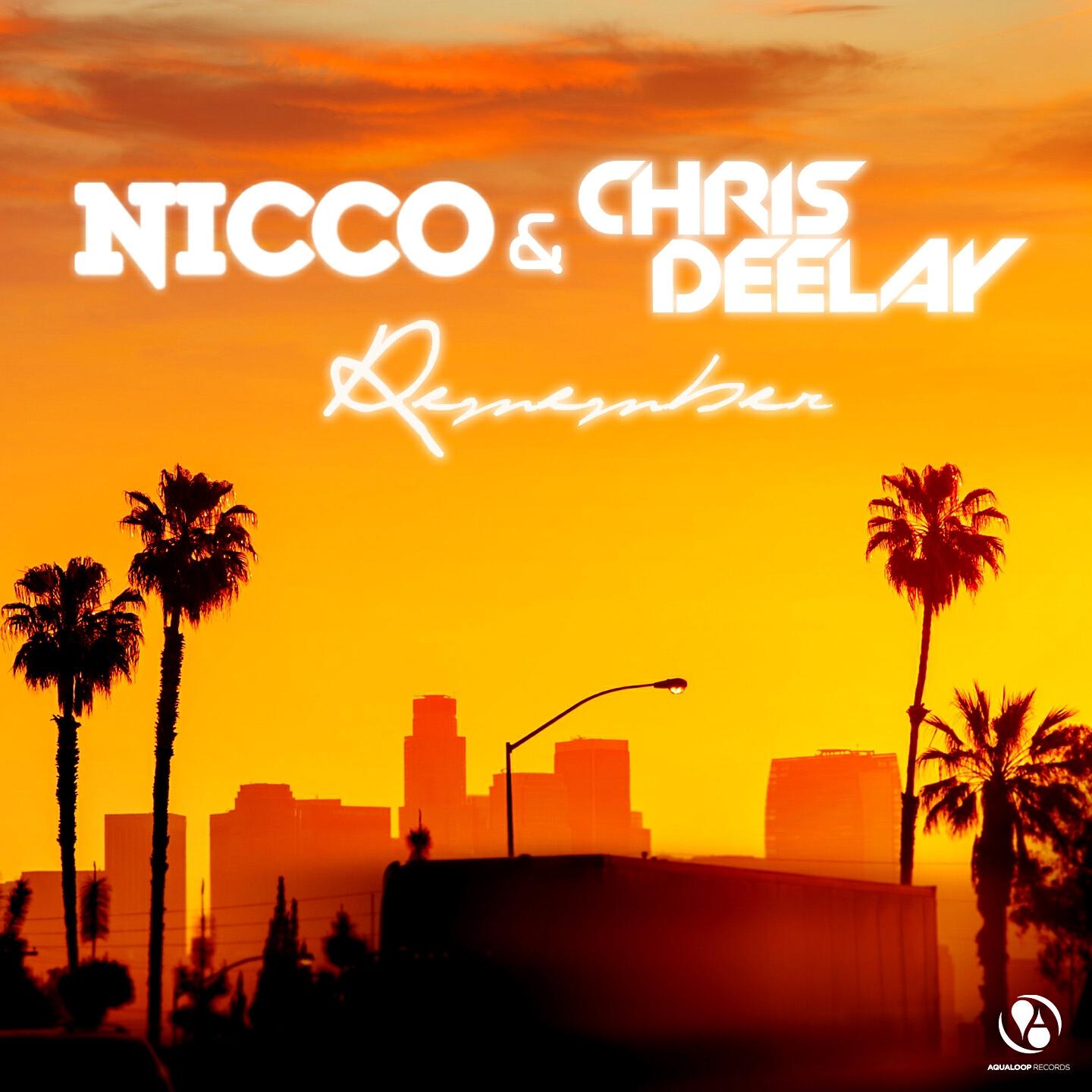 NICCO - Remember (Malibu Drive Edit)