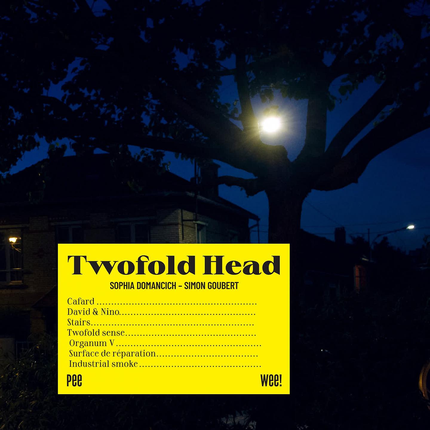 Постер альбома Twofold Head
