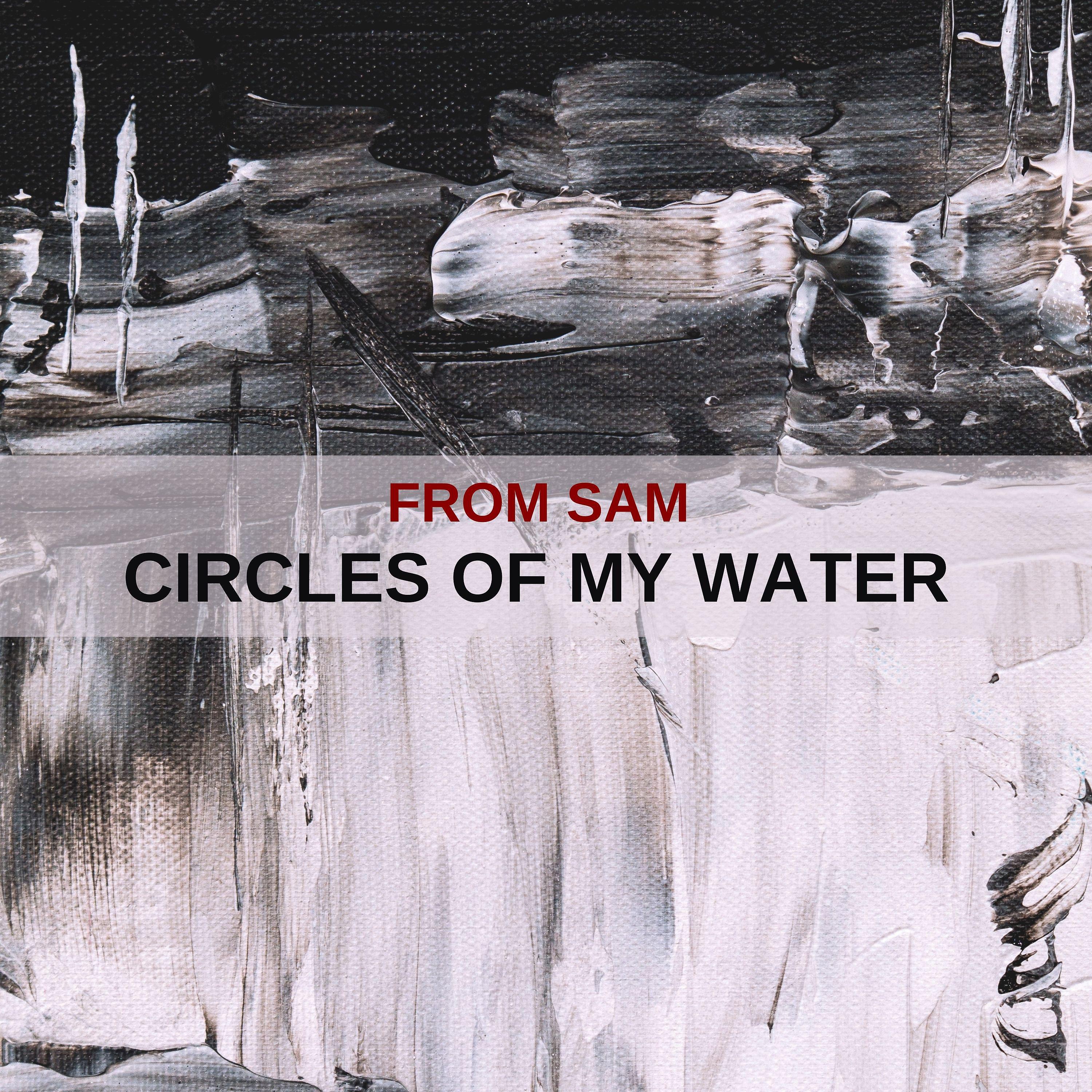 Постер альбома Circles of My Water