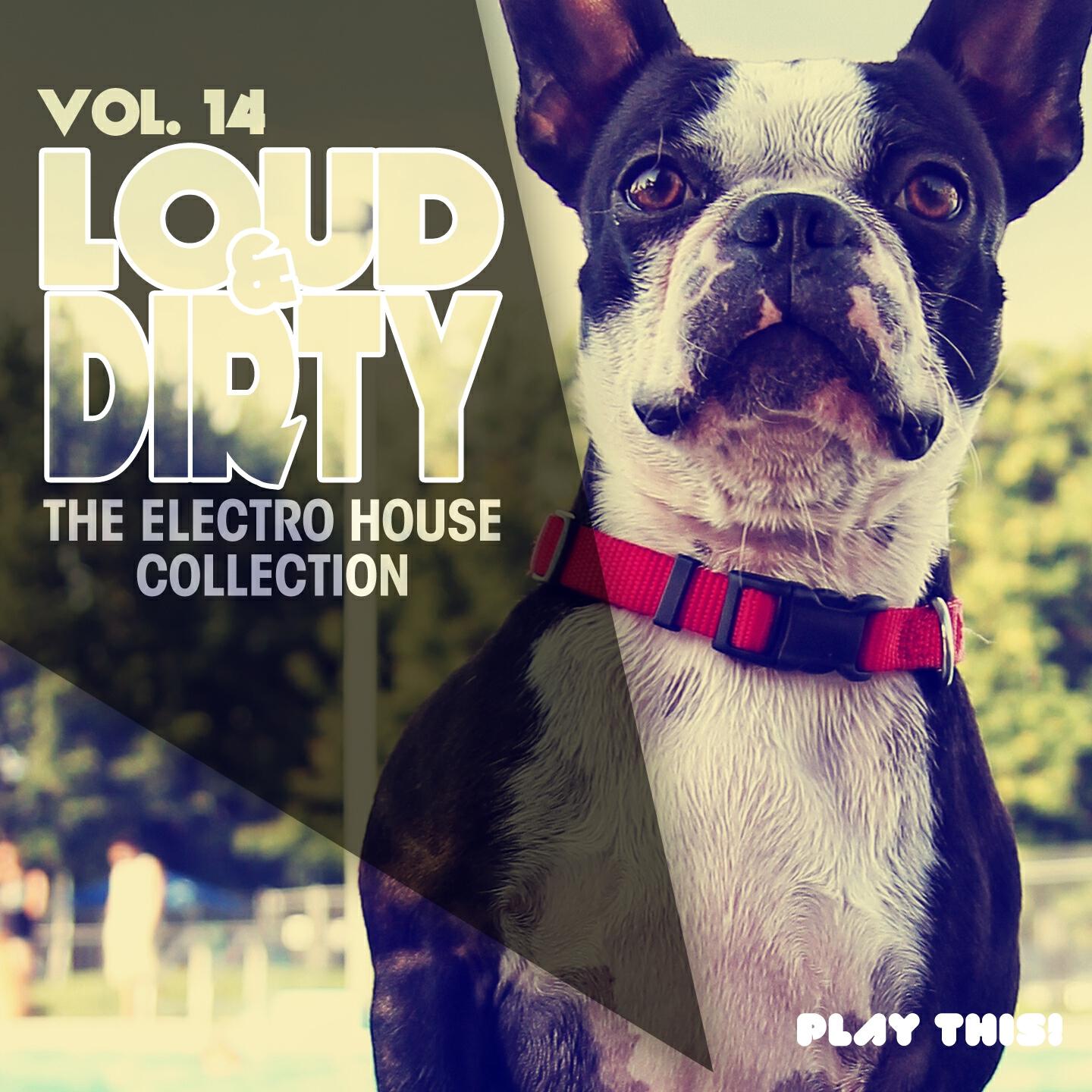 Willy Saul - Gangstas in the House (Lucky Garcia & DJ Turtle Remix)