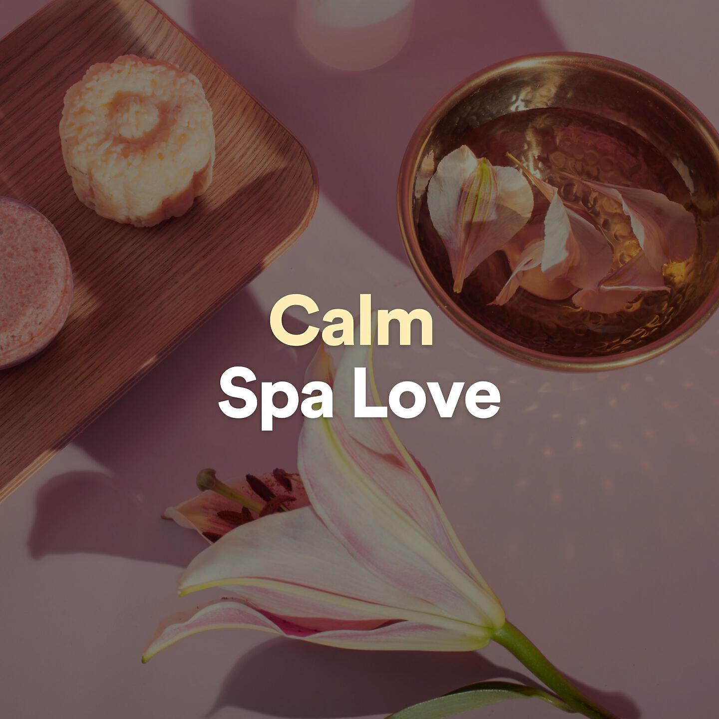 Amazing Spa Music - Well-Founded Ambient