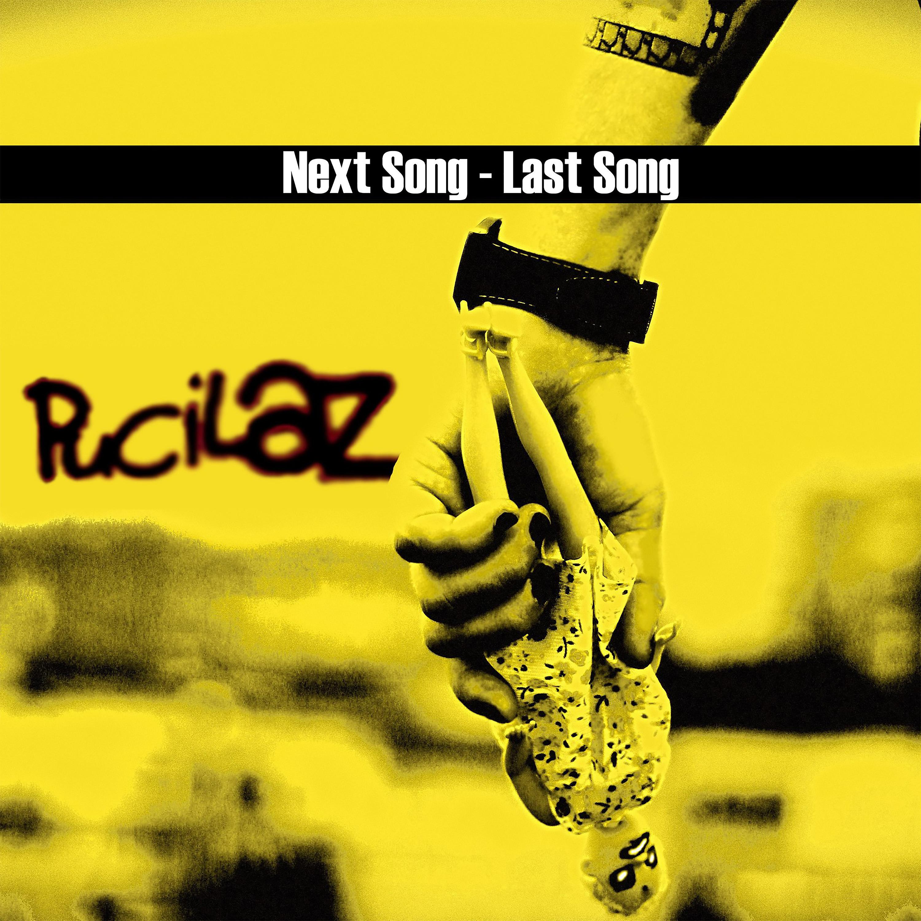 Постер альбома Next Song - Last Song