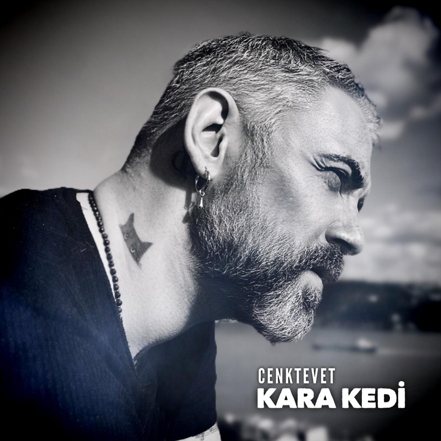 Постер альбома Kara Kedi