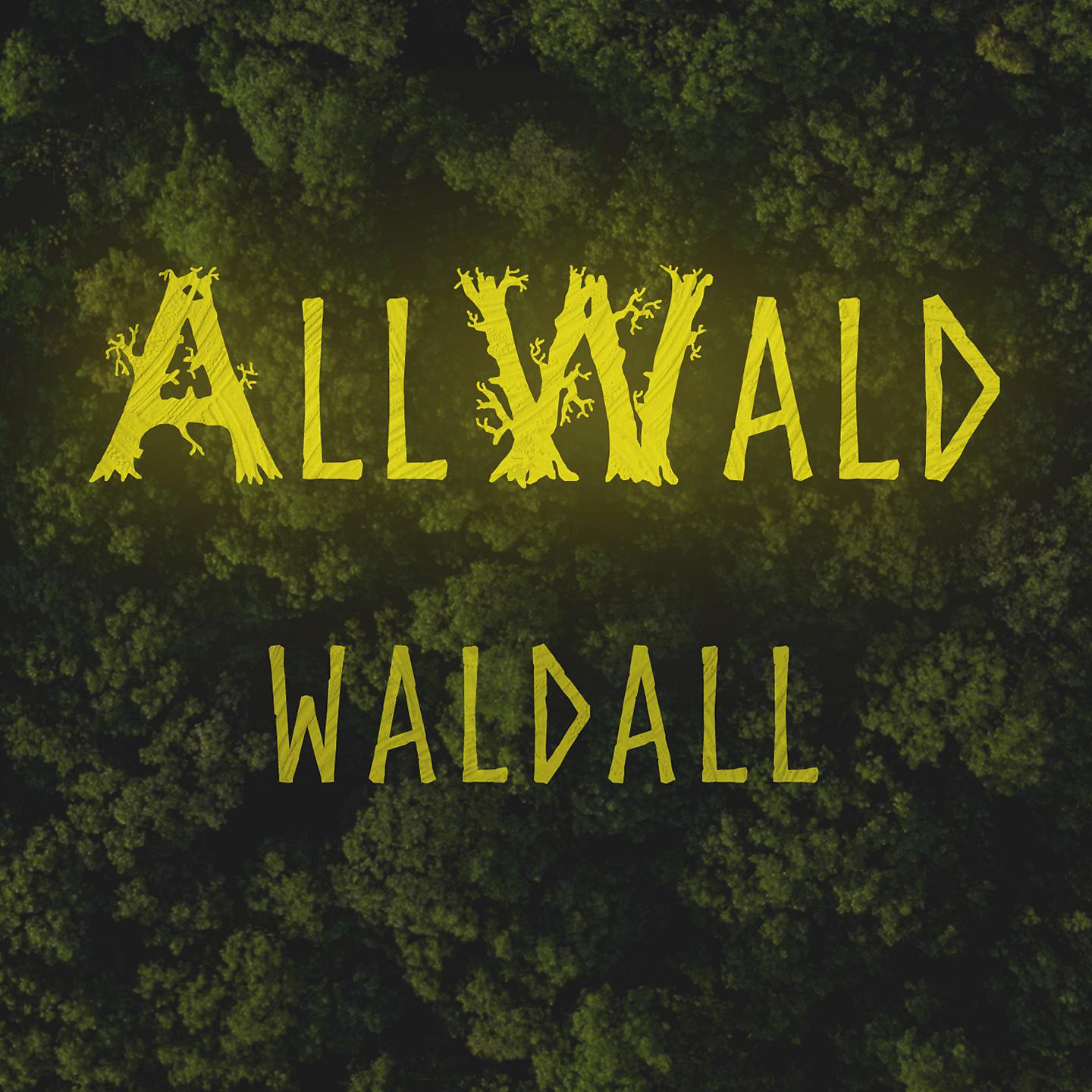 Постер альбома Waldall