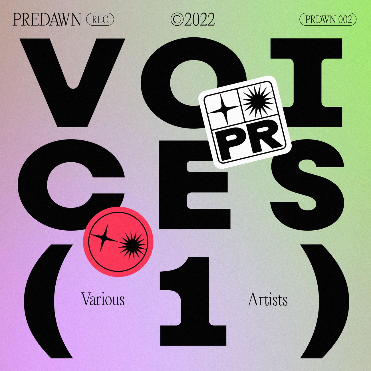 Постер альбома Voices 01