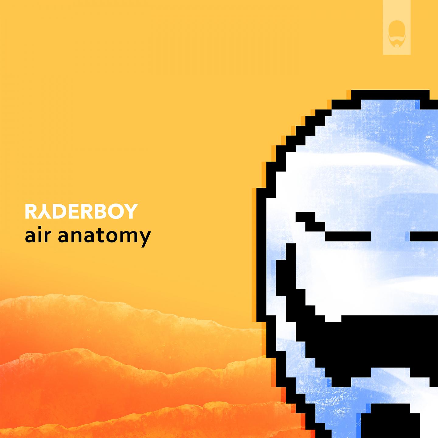Постер альбома Air Anatomy