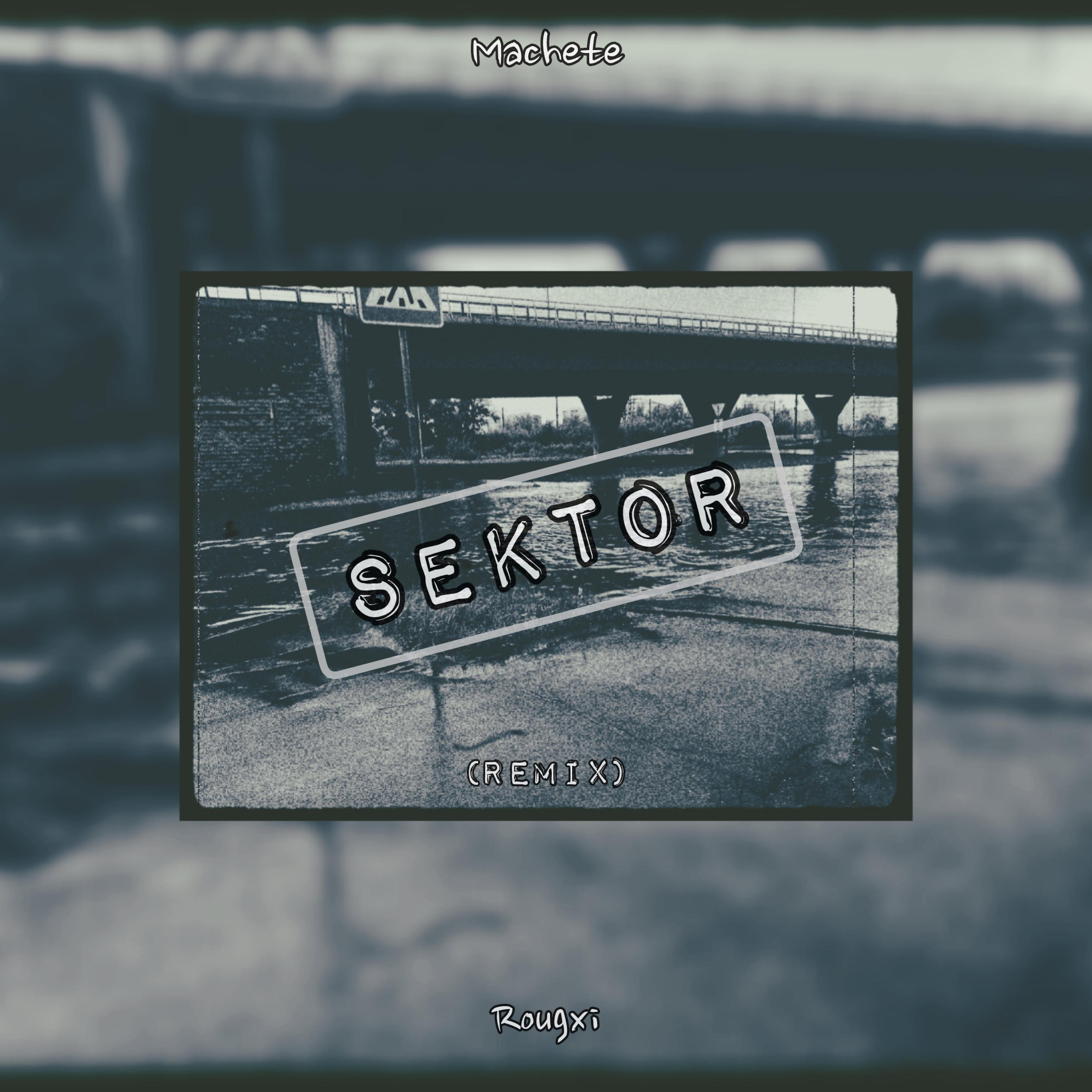 Постер альбома Sektor (Remix)