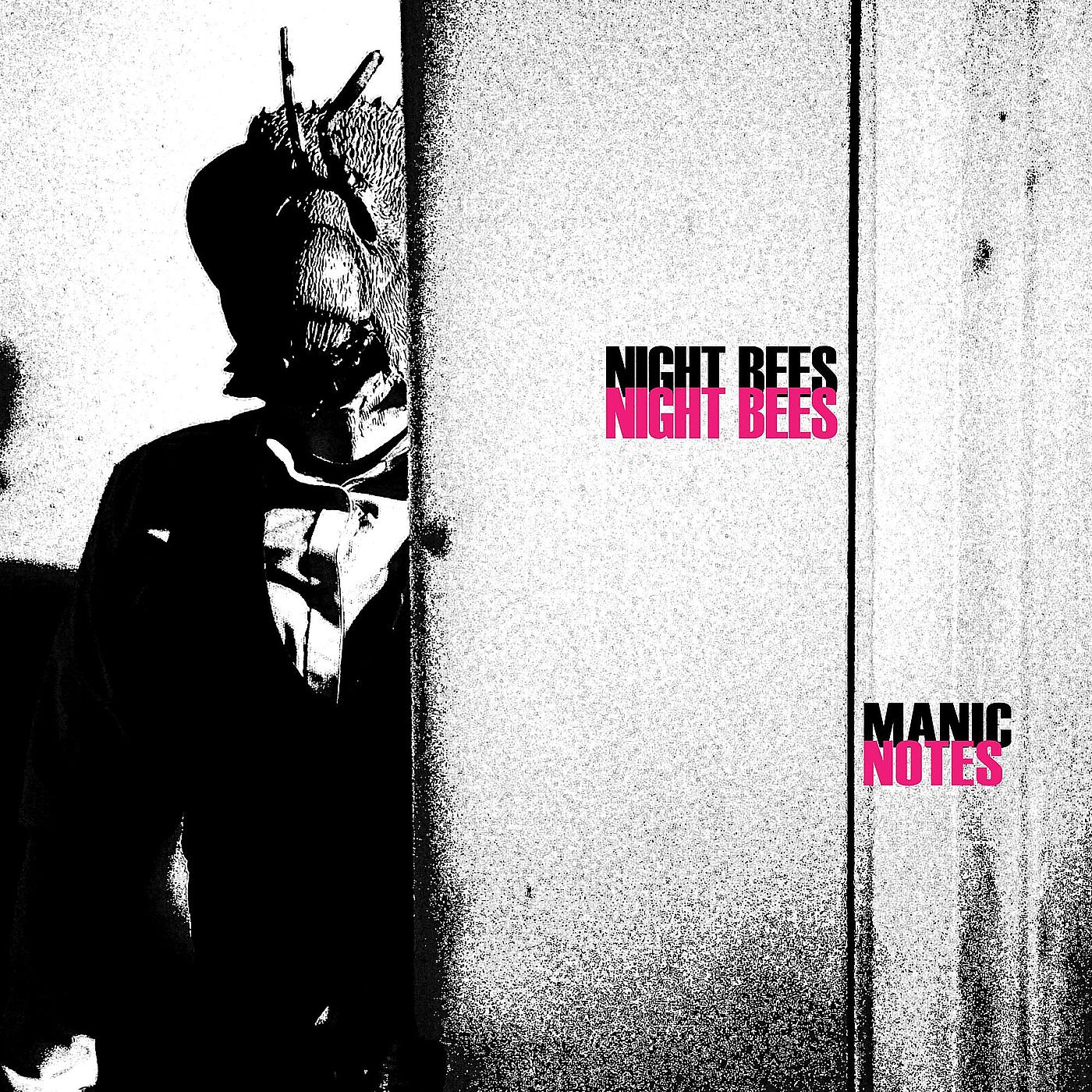 Постер альбома Manic Notes