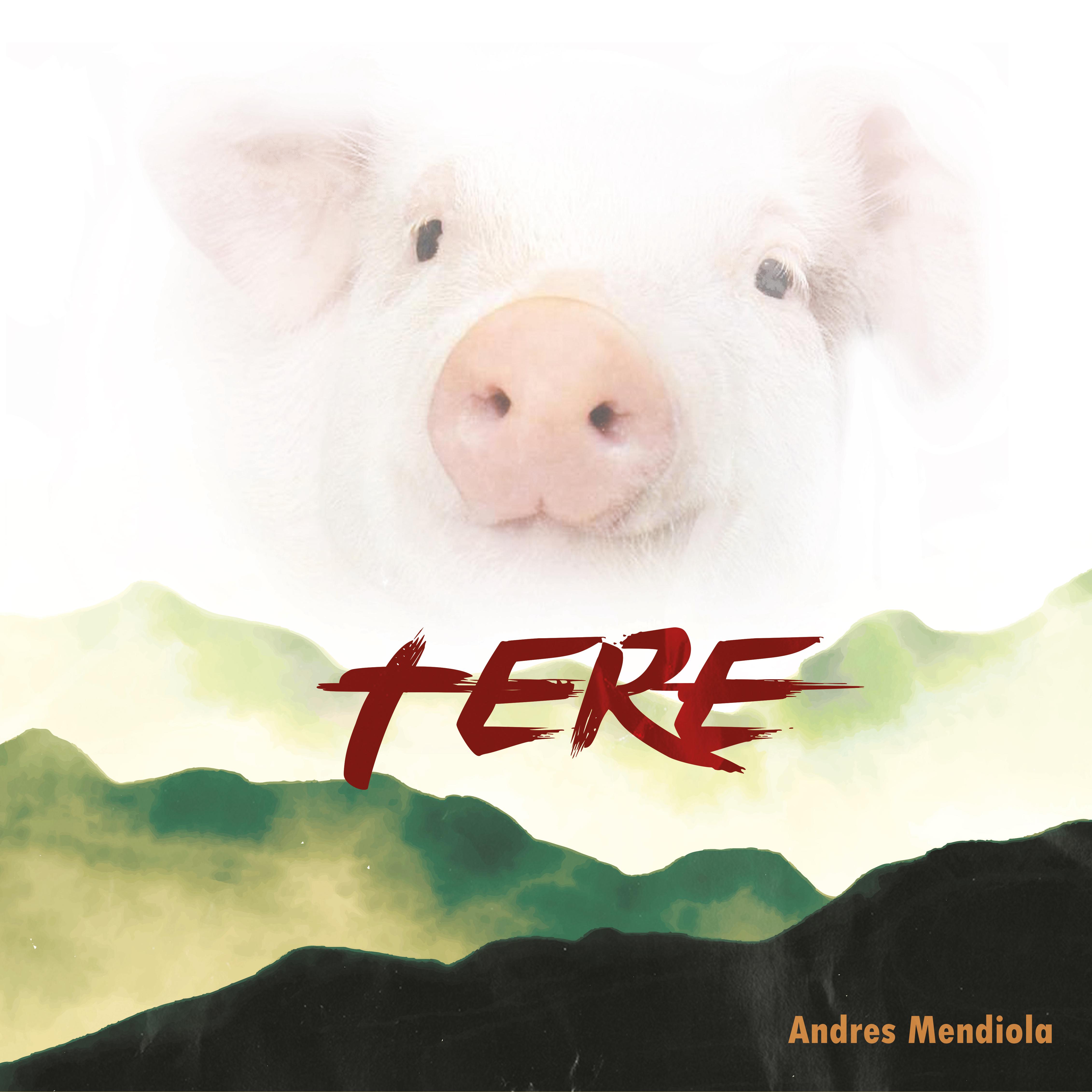 Постер альбома Tere