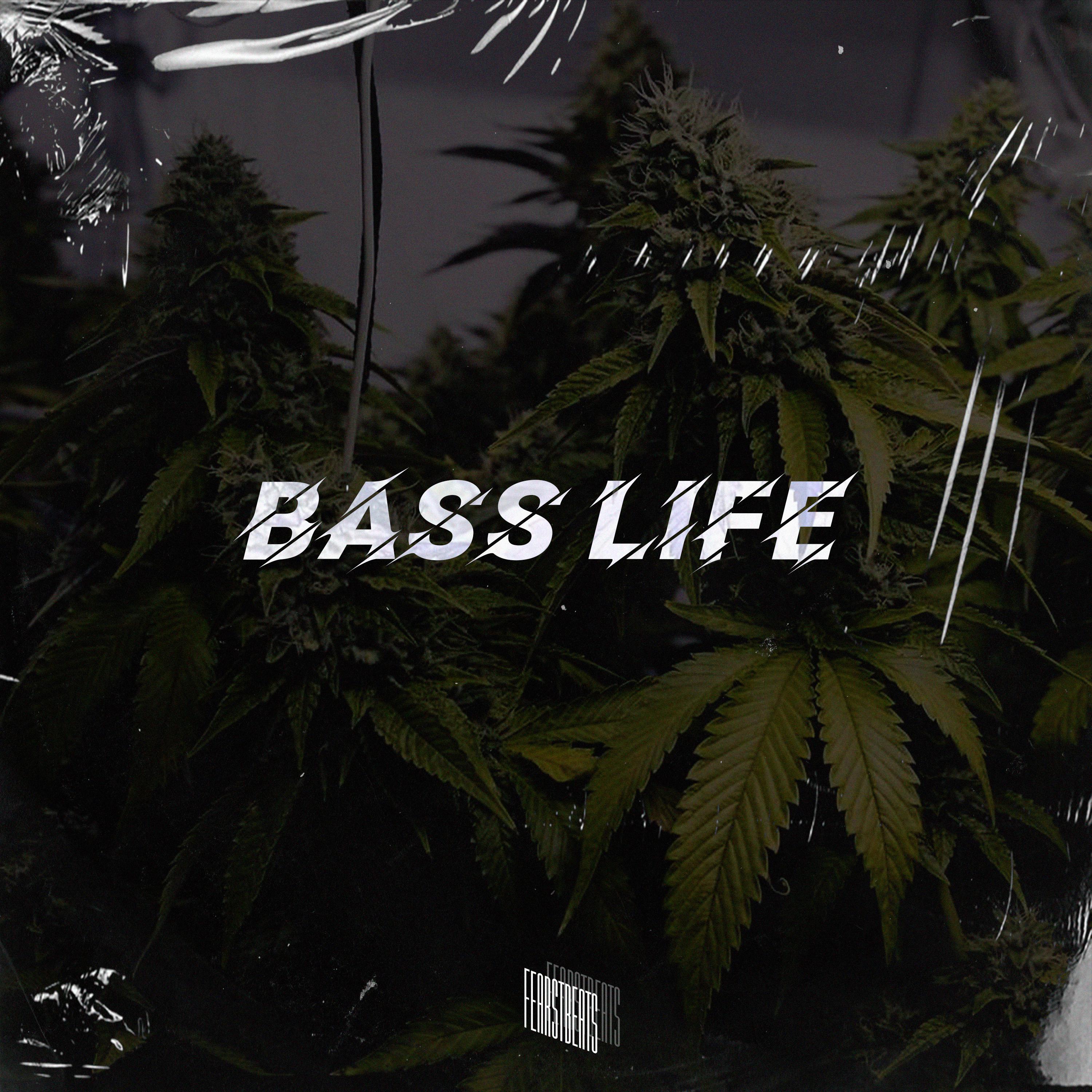 Постер альбома Bass Life