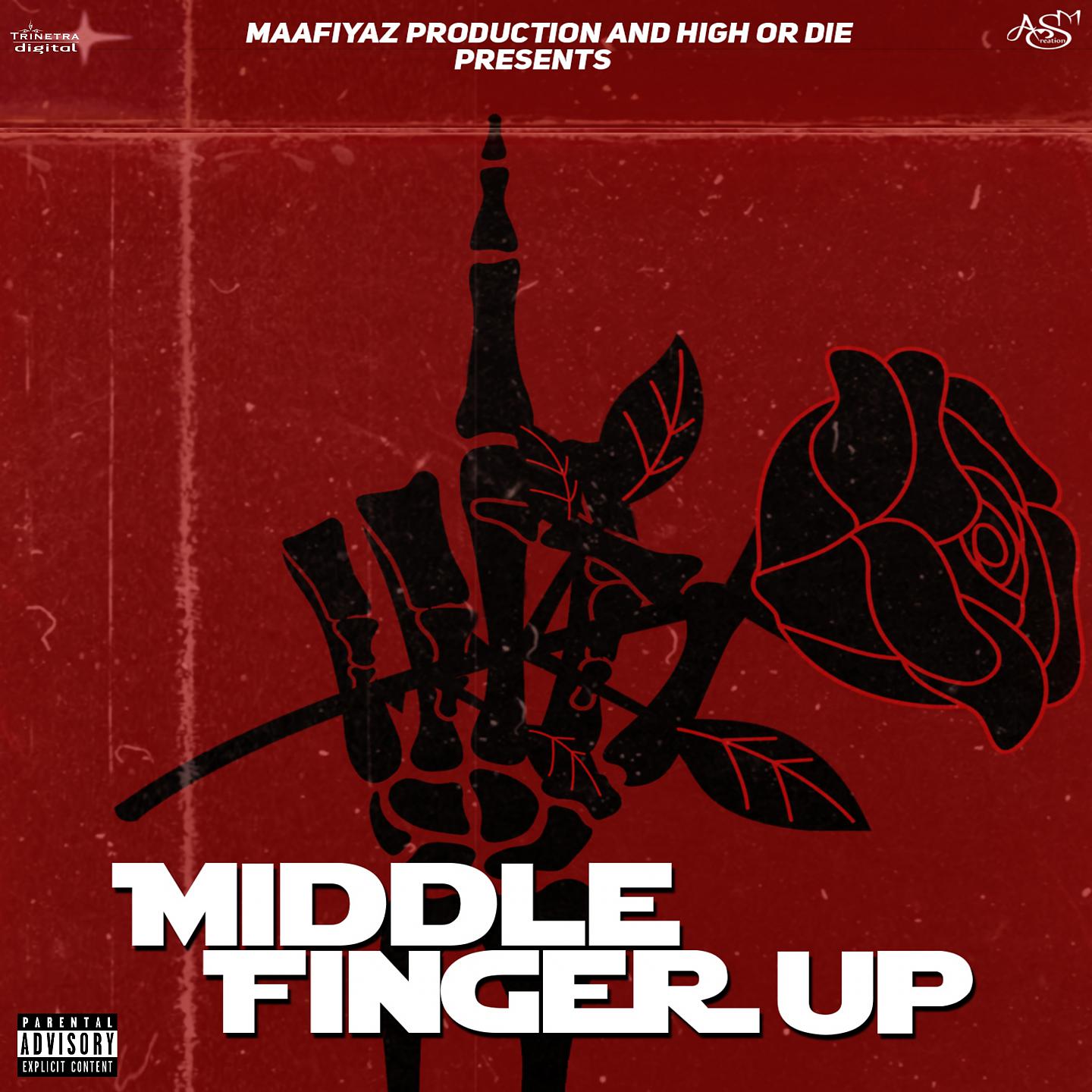 Постер альбома Middle Finger Up