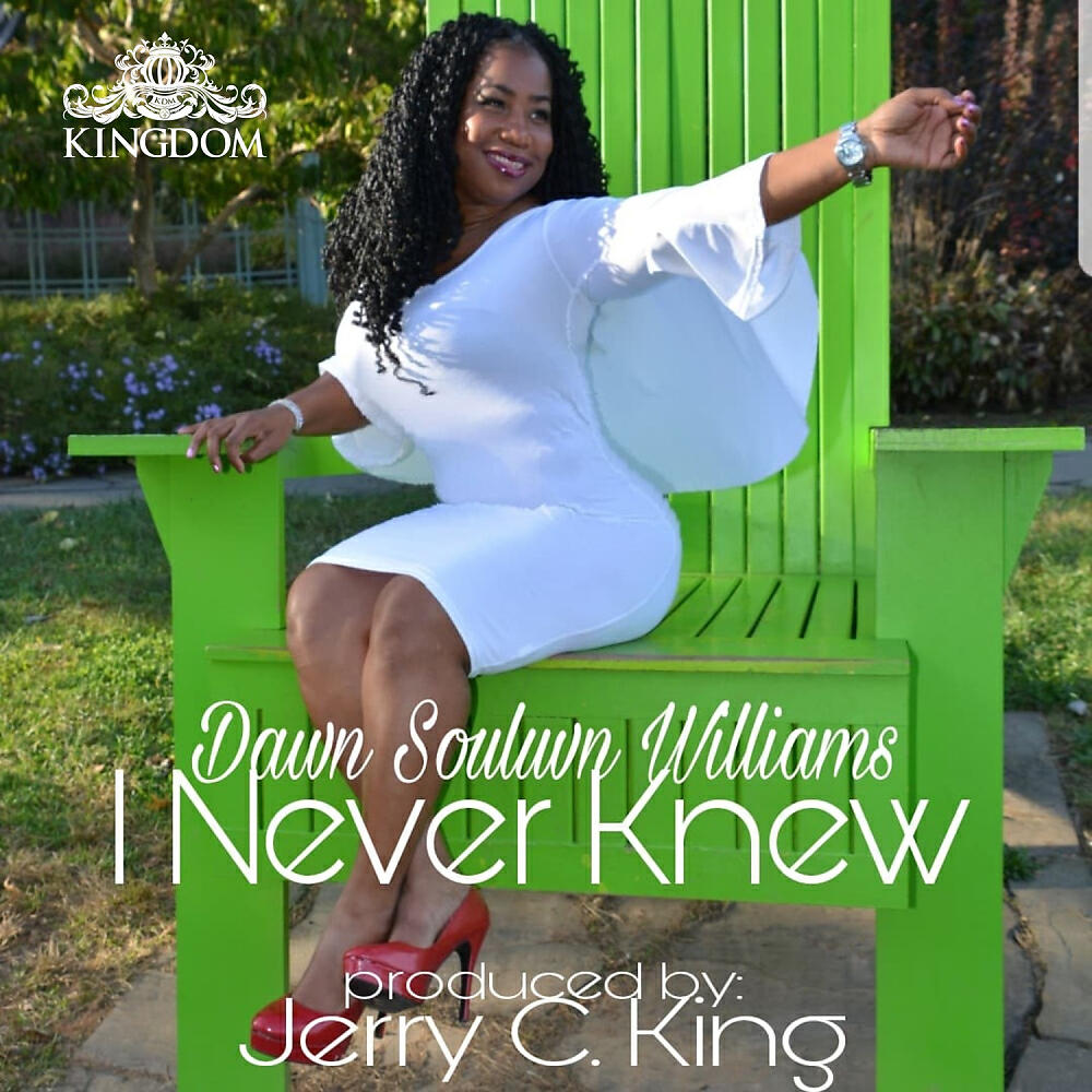 Dawn Souluvn Williams - I Never Knew (Jerry C. King C.H.L.P. Mix)