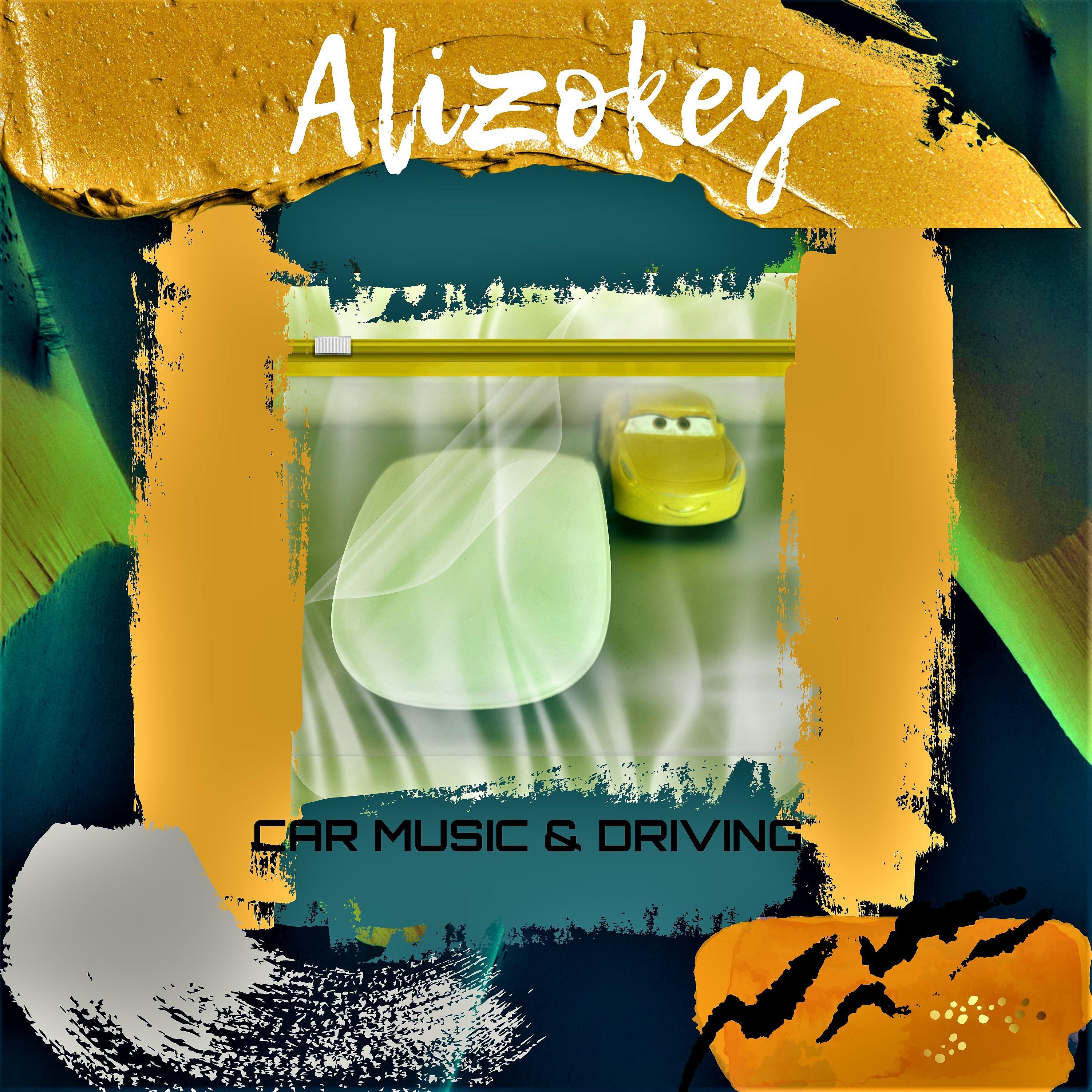 Постер альбома Alizokey
