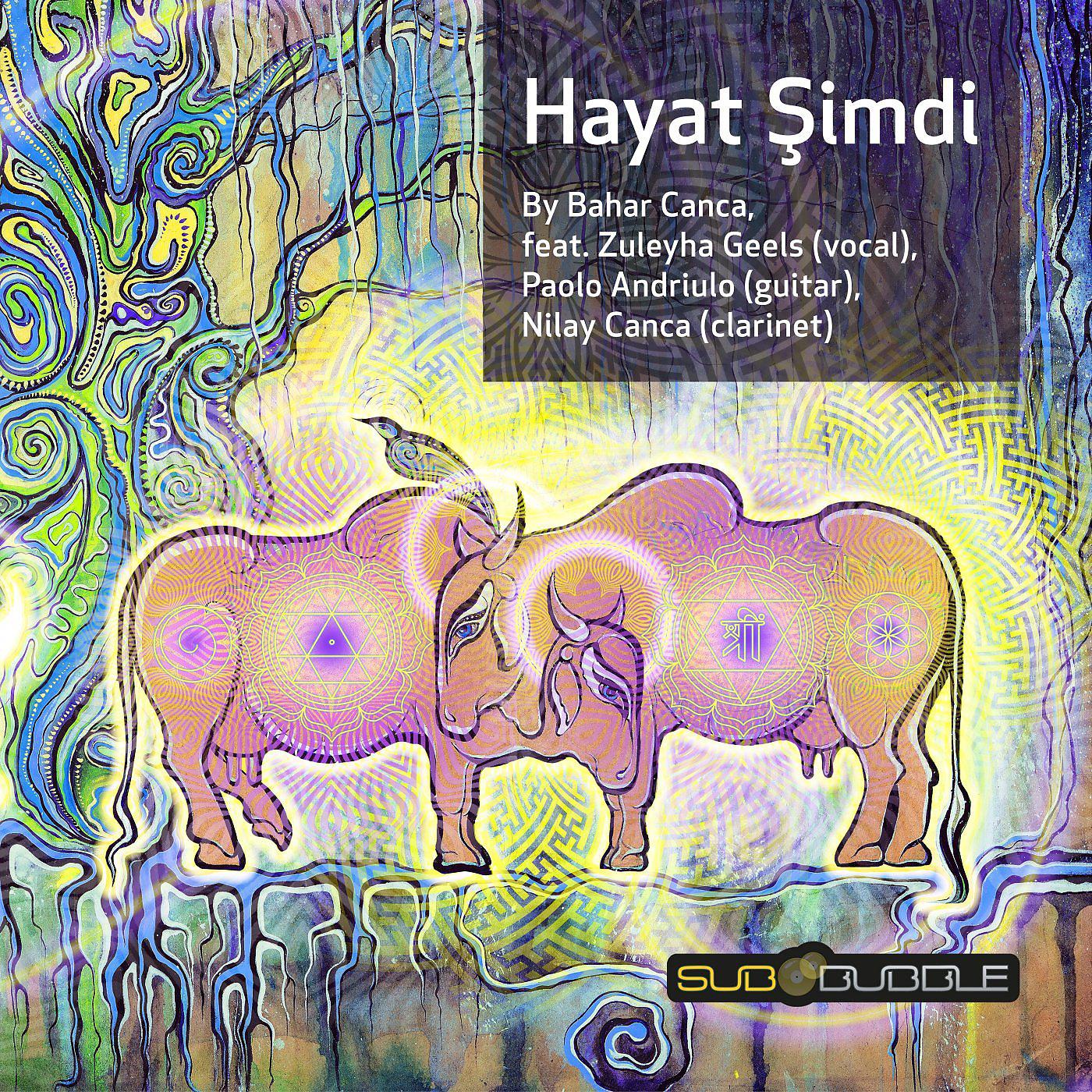 Постер альбома Hayat Simdi
