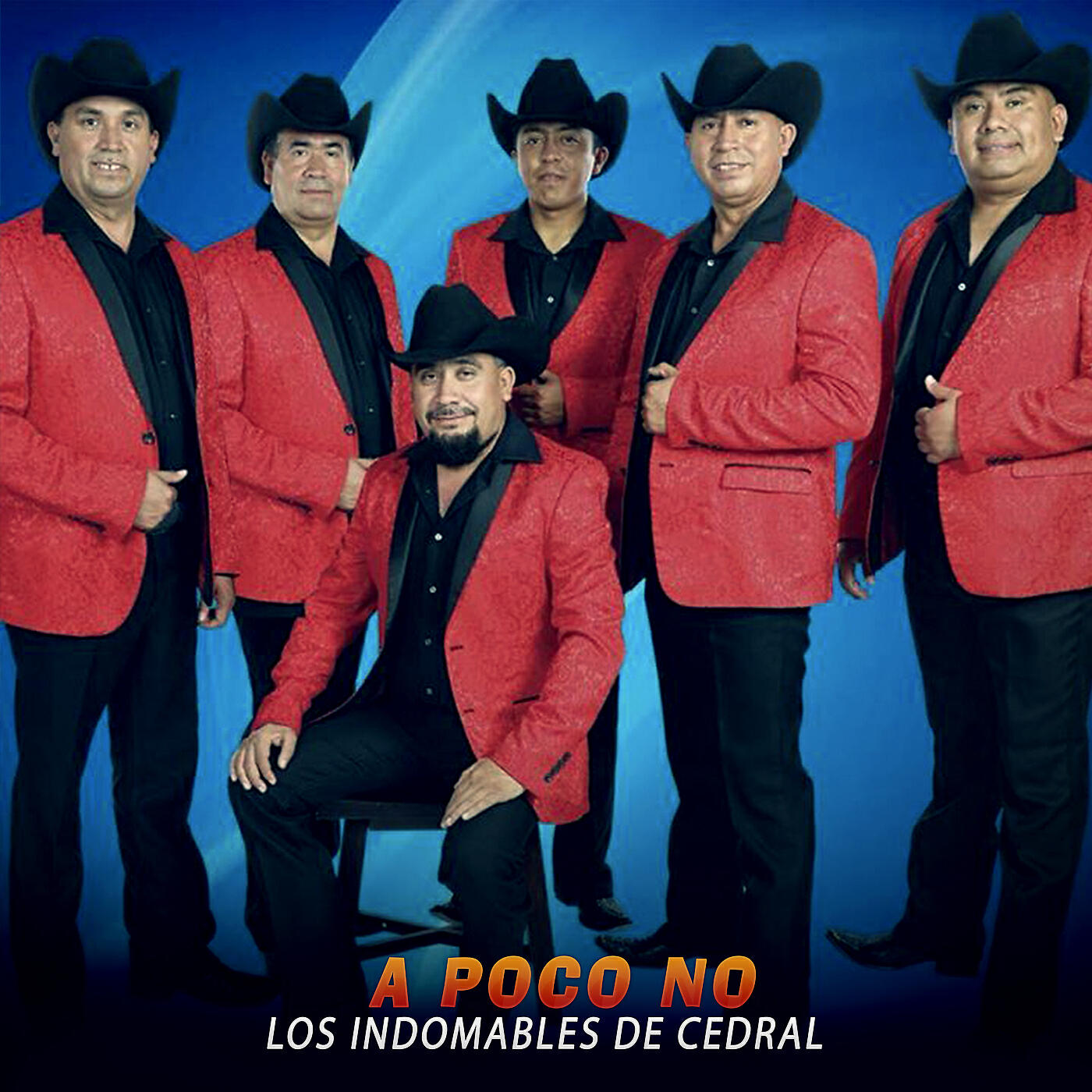 Los Indomables De Cedral - A Poco No
