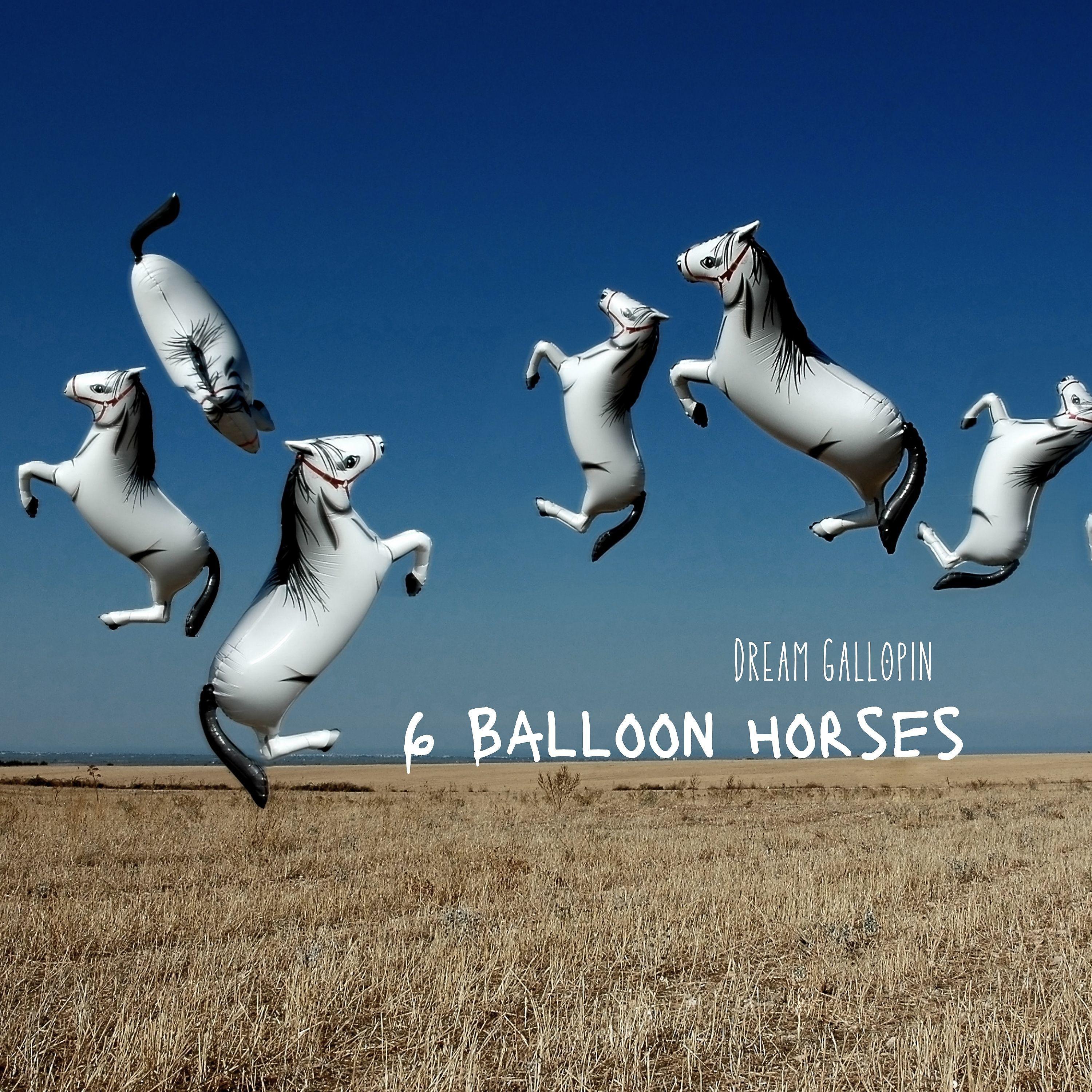 Постер альбома 6 Balloon Horses