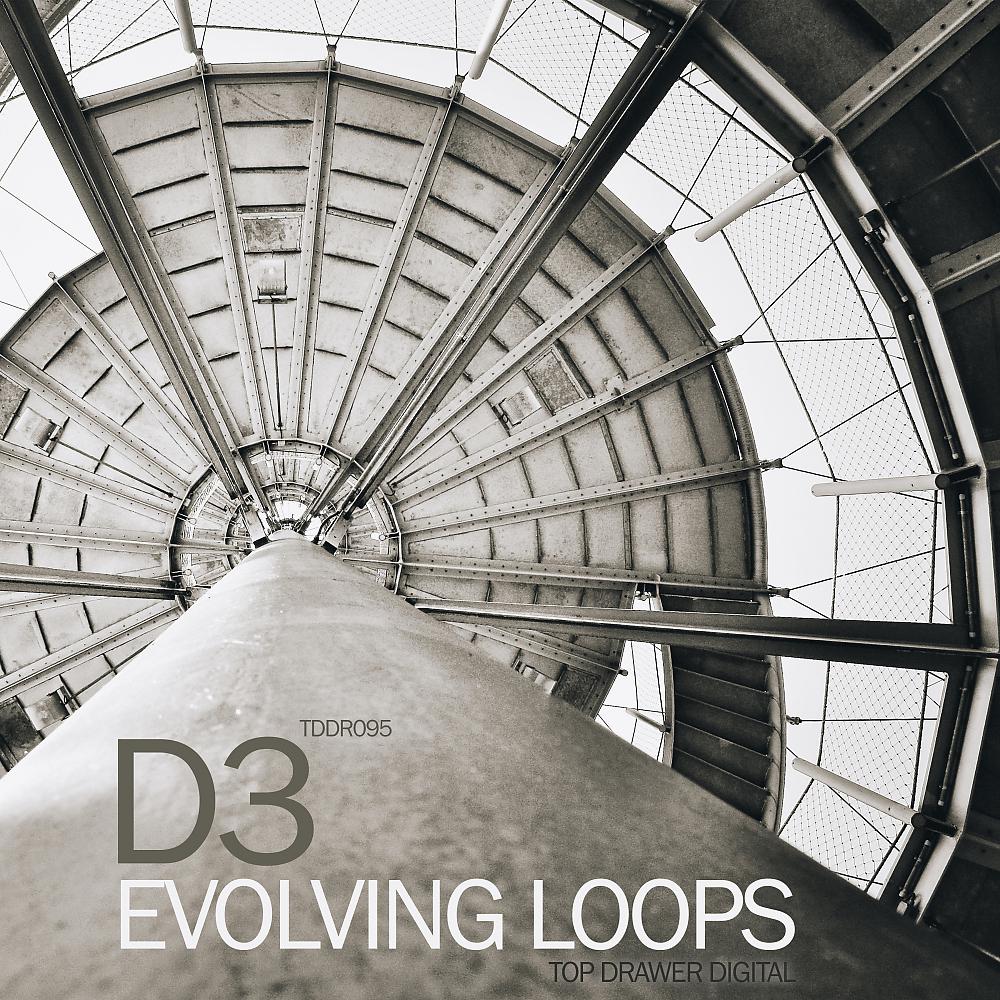 Постер альбома Evolving Loops