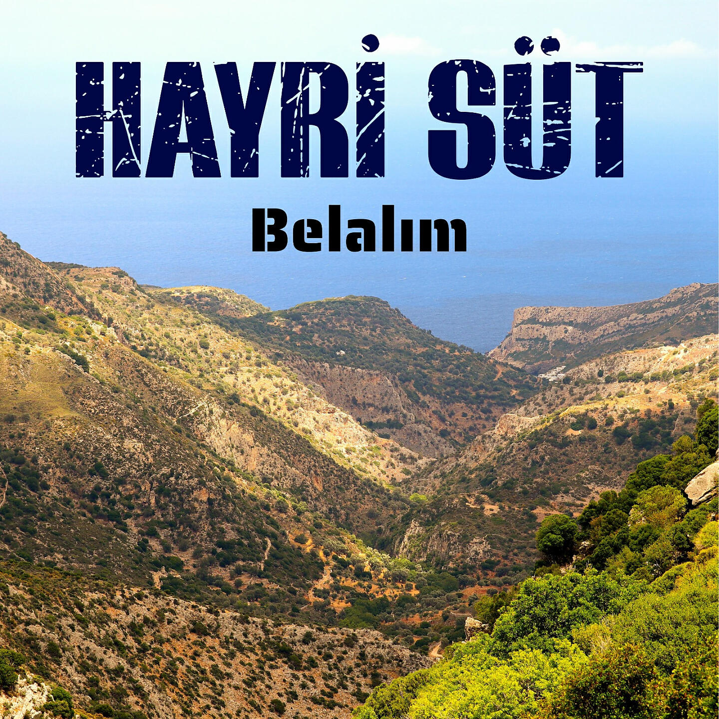 Hayri Süt - Sarsa Beni