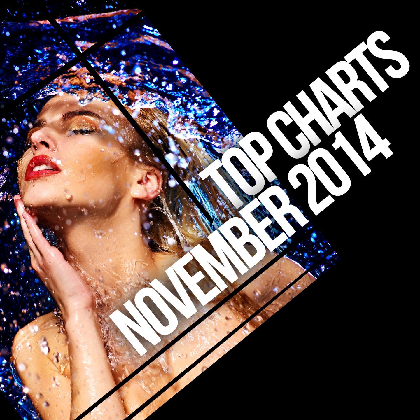 Постер альбома Top Charts November 2014