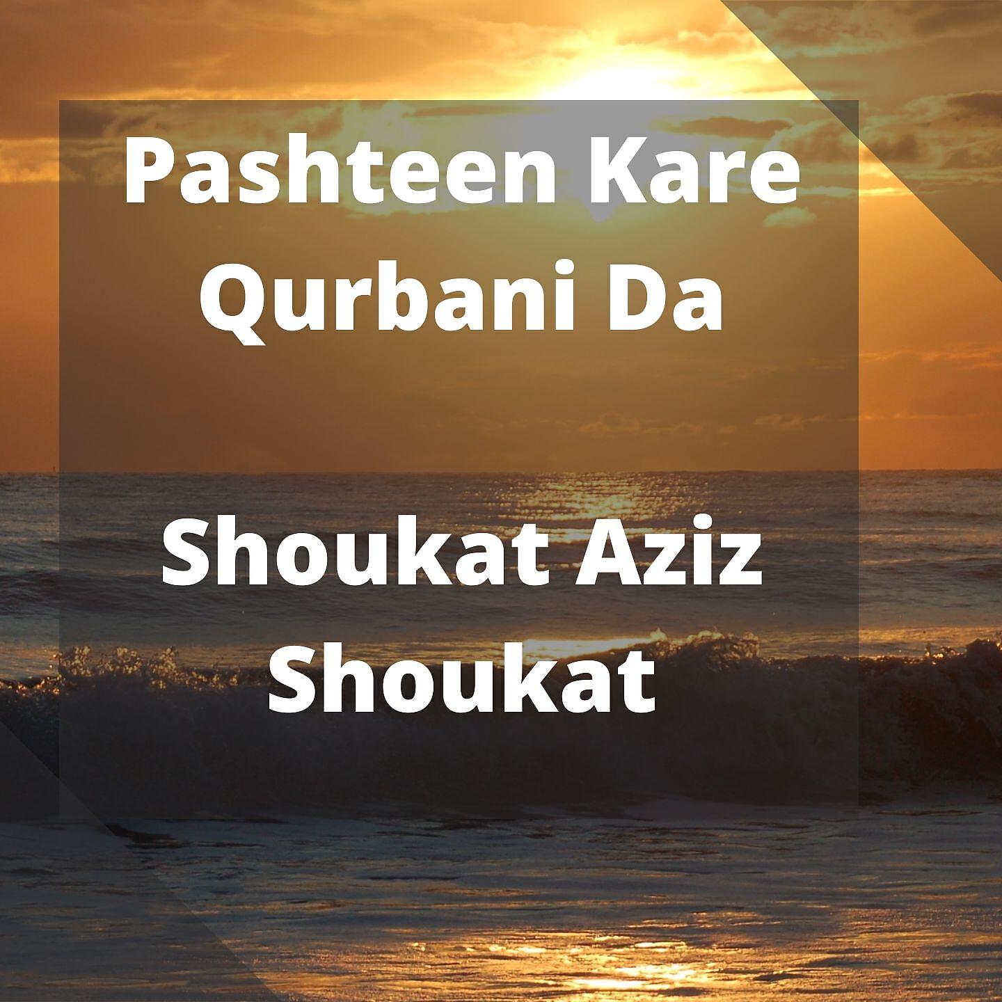 Shoukat Aziz Shoukat - Pashteen Kare Qurbani Da