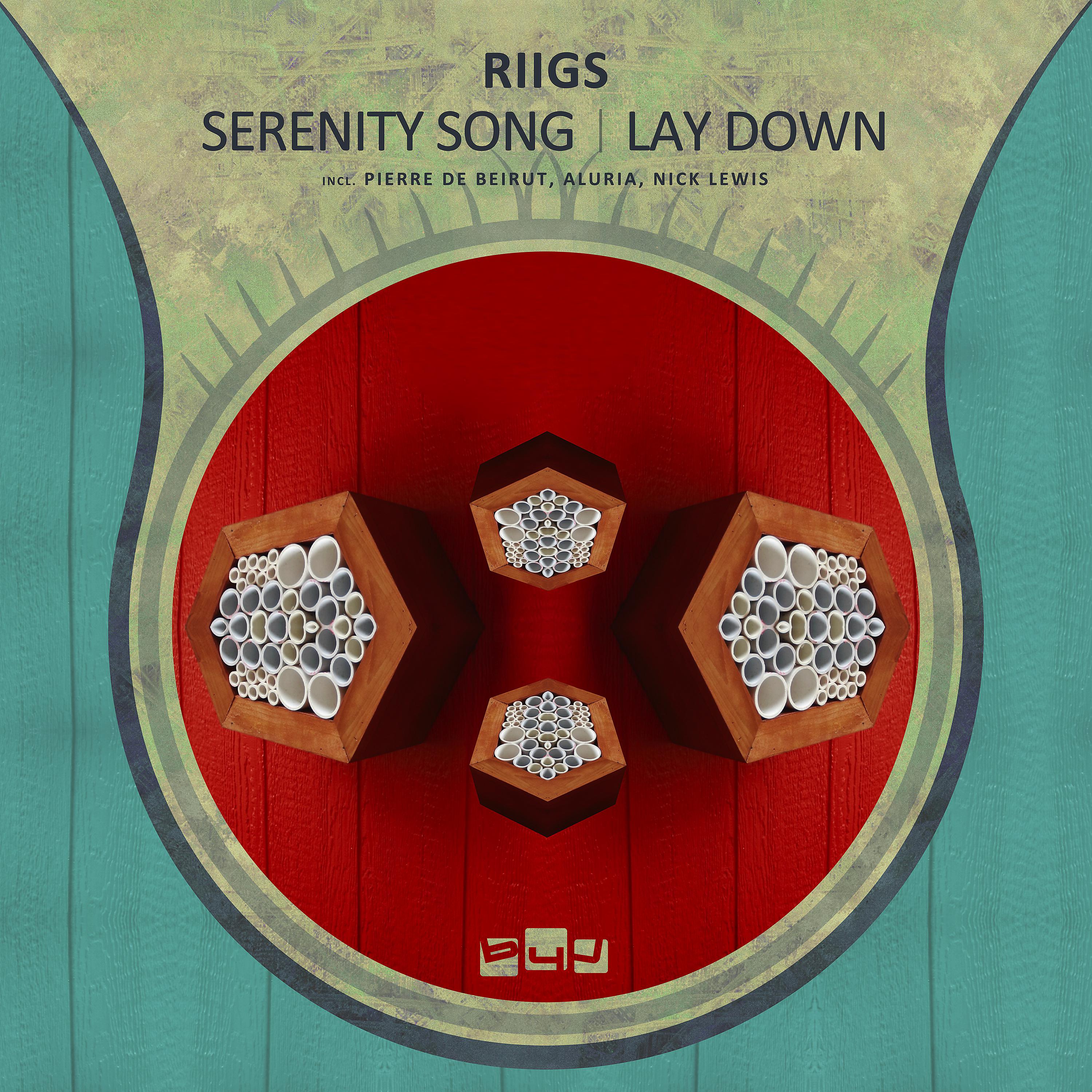 Постер альбома Serenity Song / Lay Down