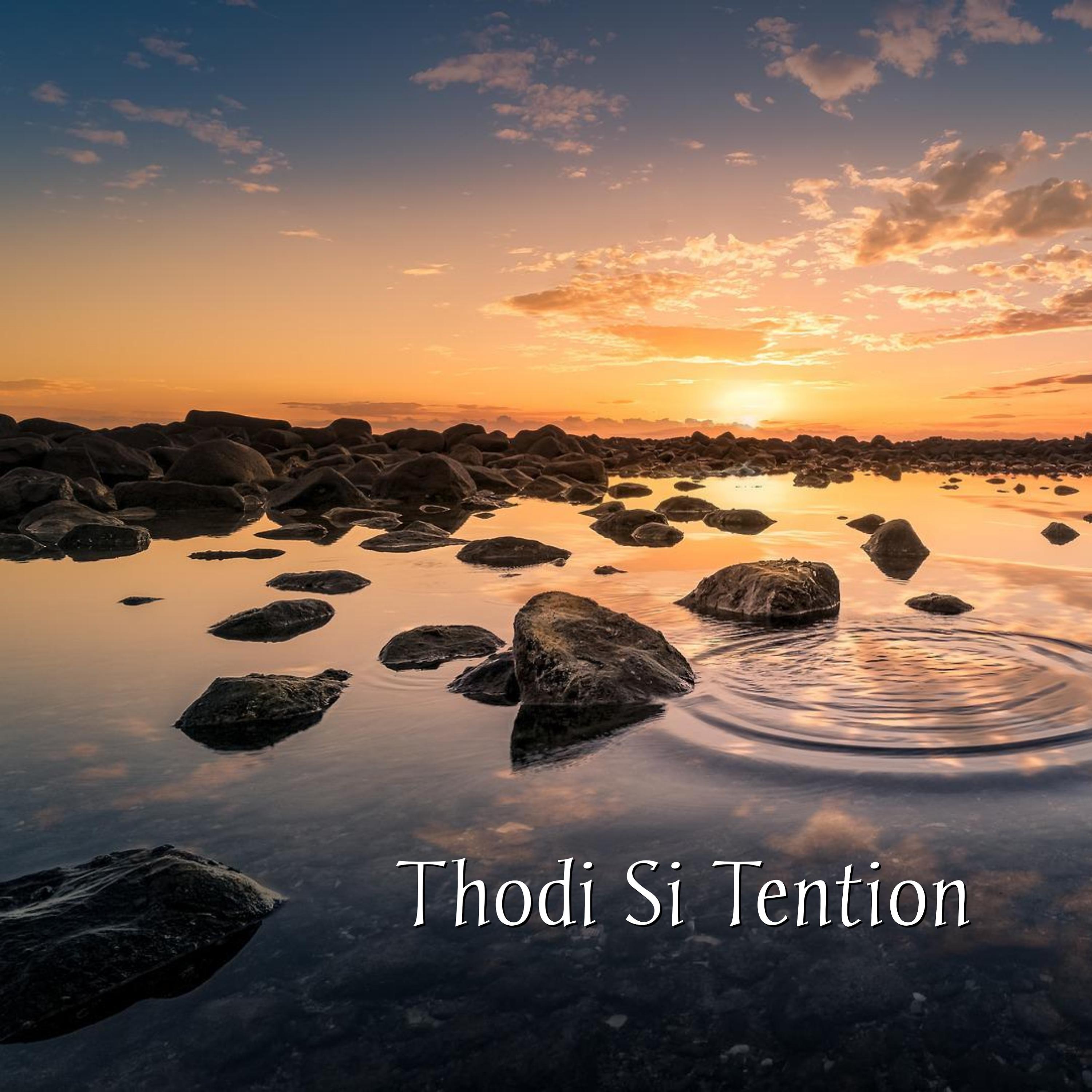 Постер альбома Thodi Si Tention
