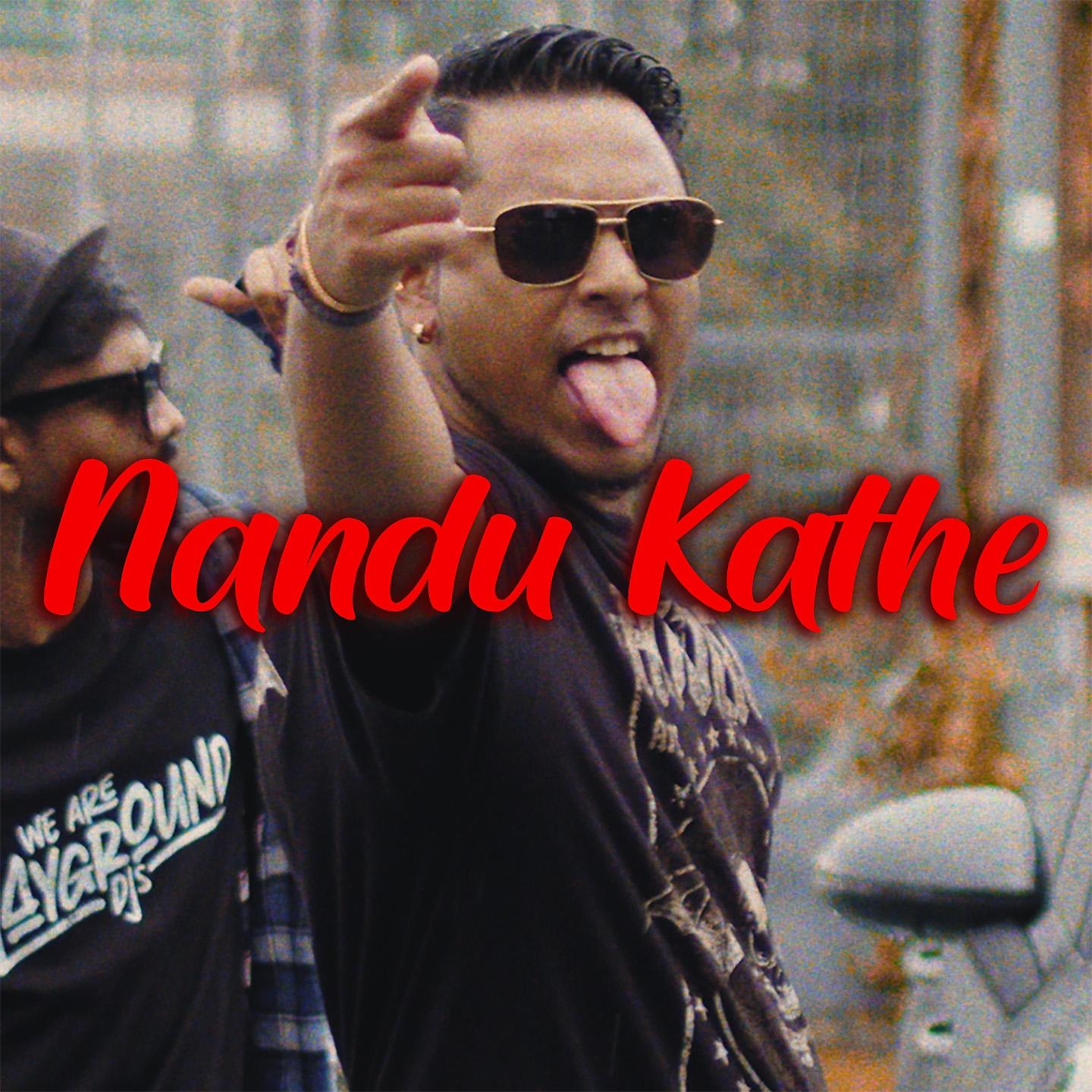 Постер альбома Nandu Kathe