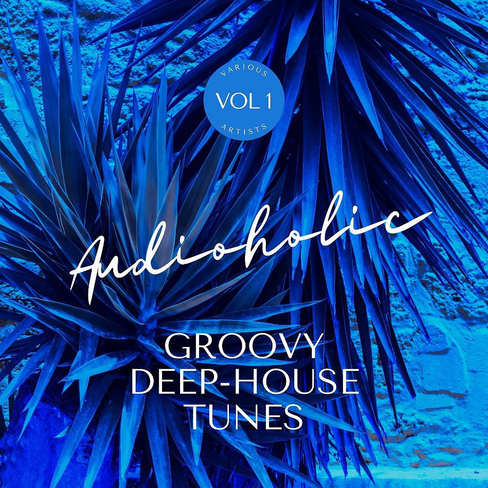 Постер альбома Audioholic (Groovy Deep-House Tunes), Vol. 1
