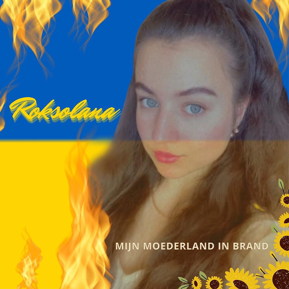Постер альбома Mijn moederland in brand