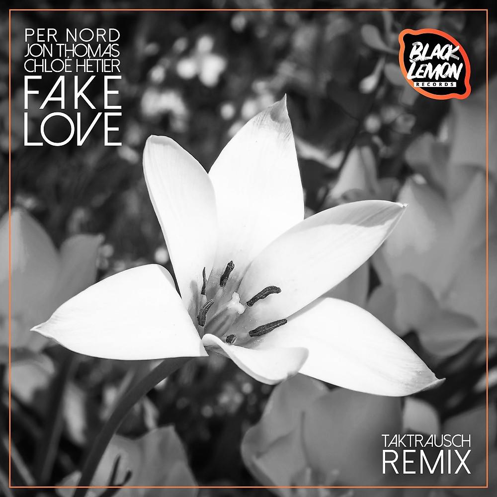 Постер альбома Fake Love (Takt Rausch Remix)