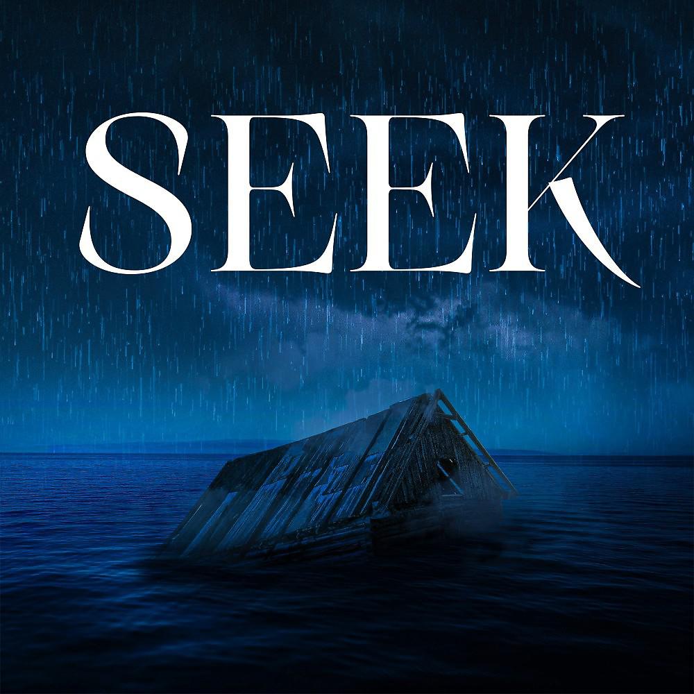 Постер альбома Seek