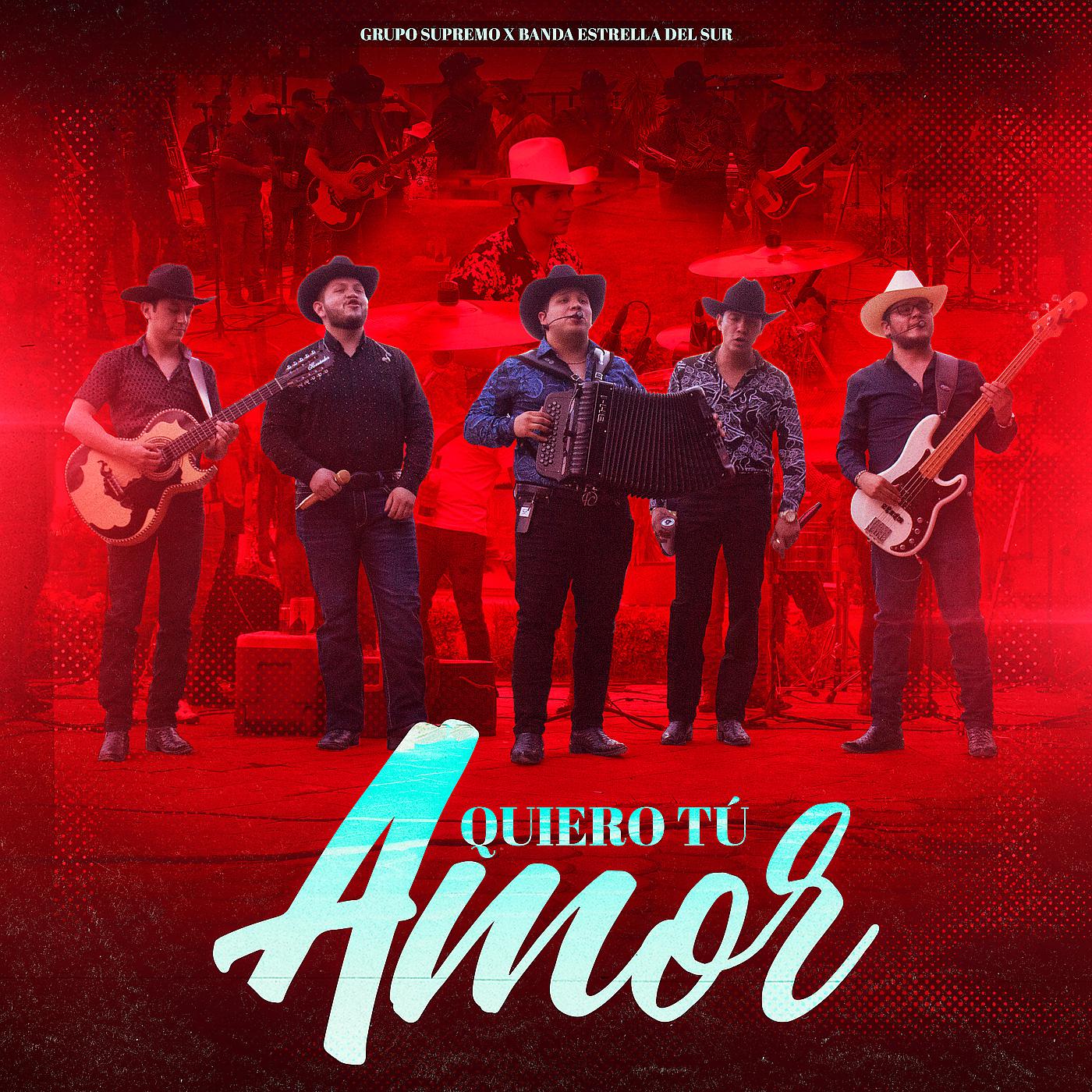 Постер альбома Quiero Tú Amor