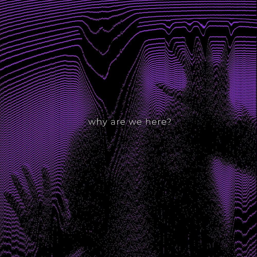 Постер альбома Why Are We Here?