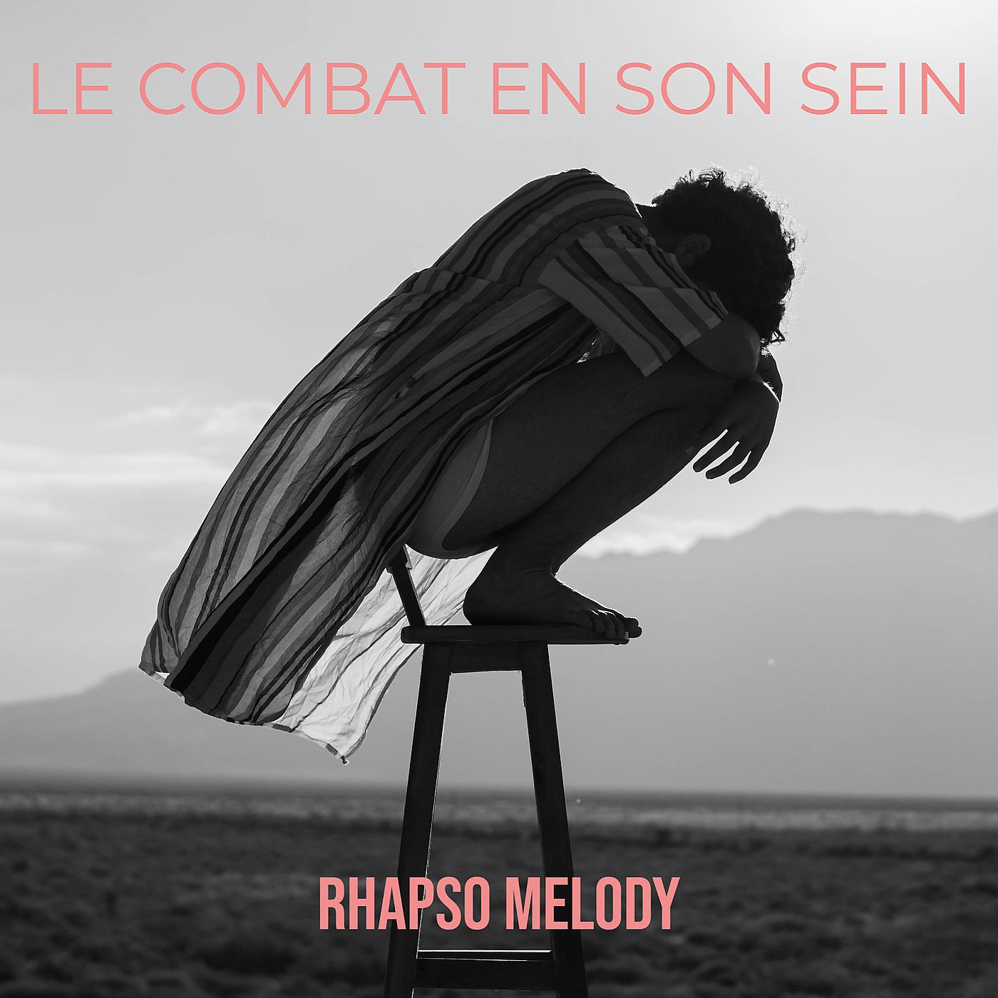 Постер альбома Le combat en son sein