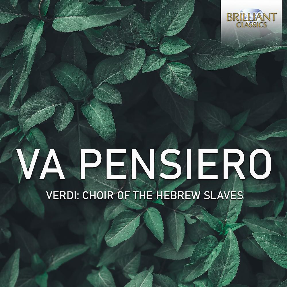 Постер альбома Va Pensiero