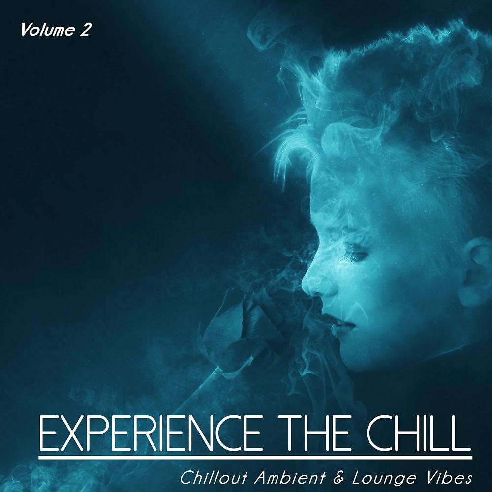 Постер альбома Experience the Chill, Vol. 2 (Chillout Ambient & Lounge Vibes)
