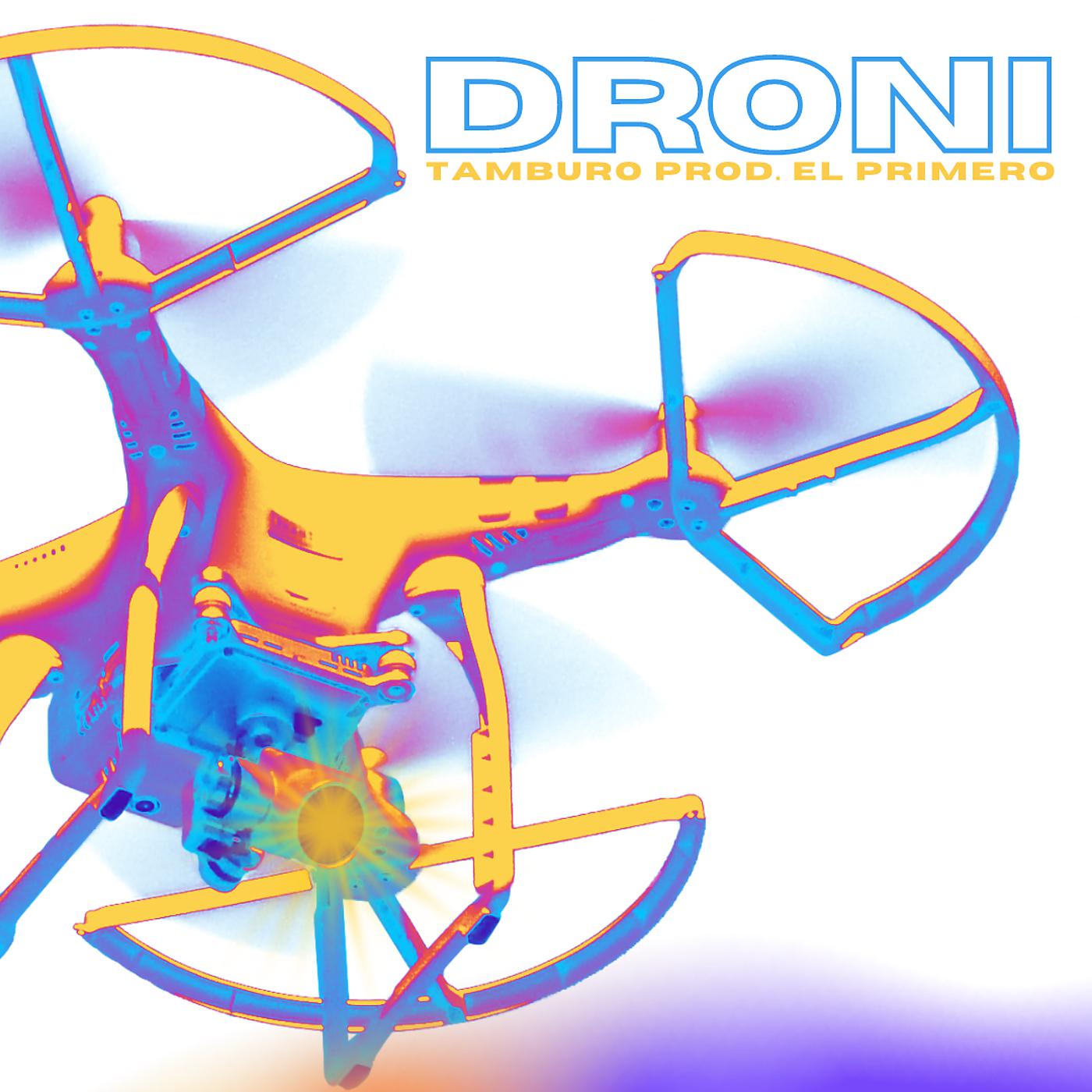 Постер альбома Droni